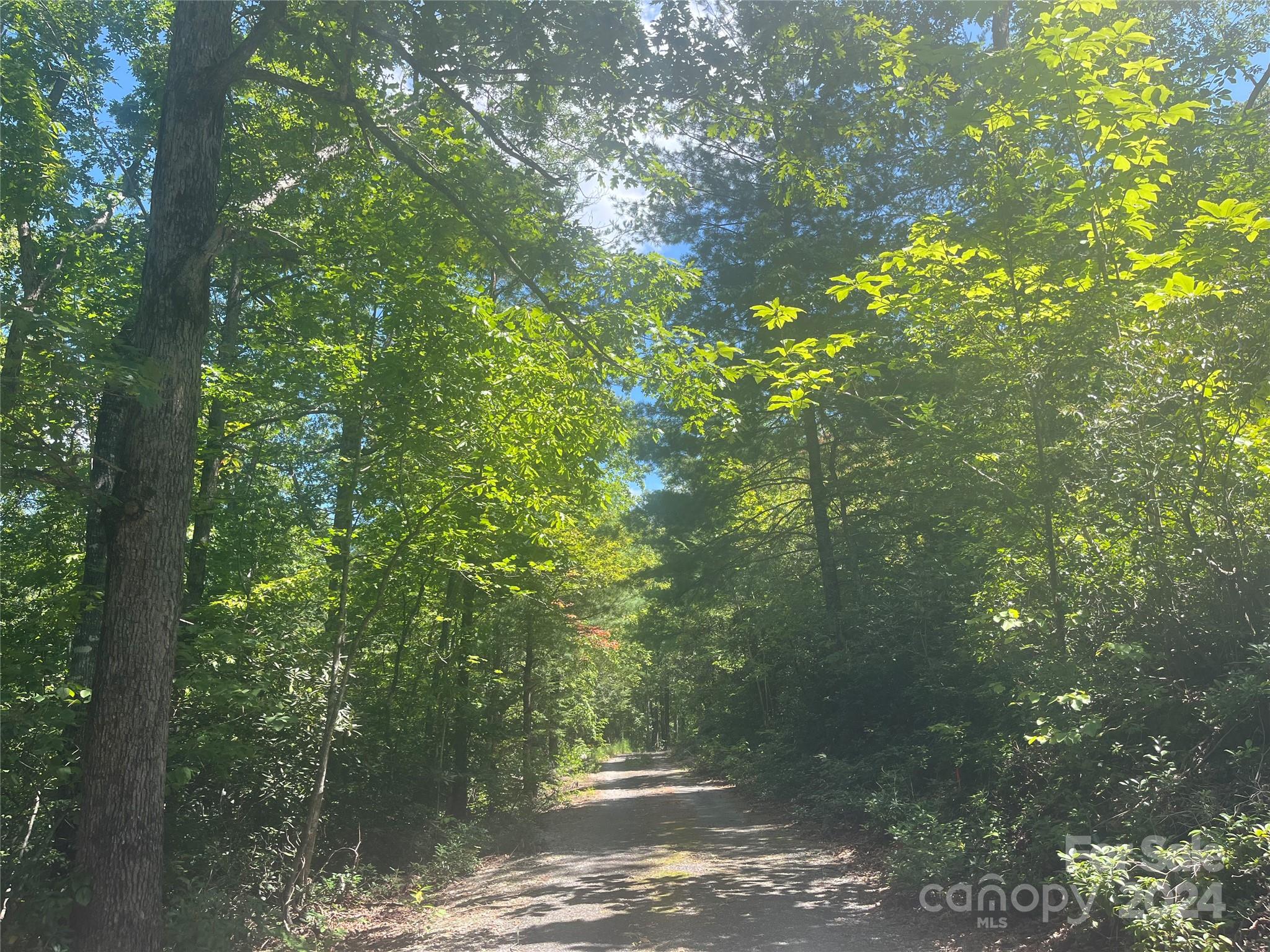 The Camp at Lake Lure - Land