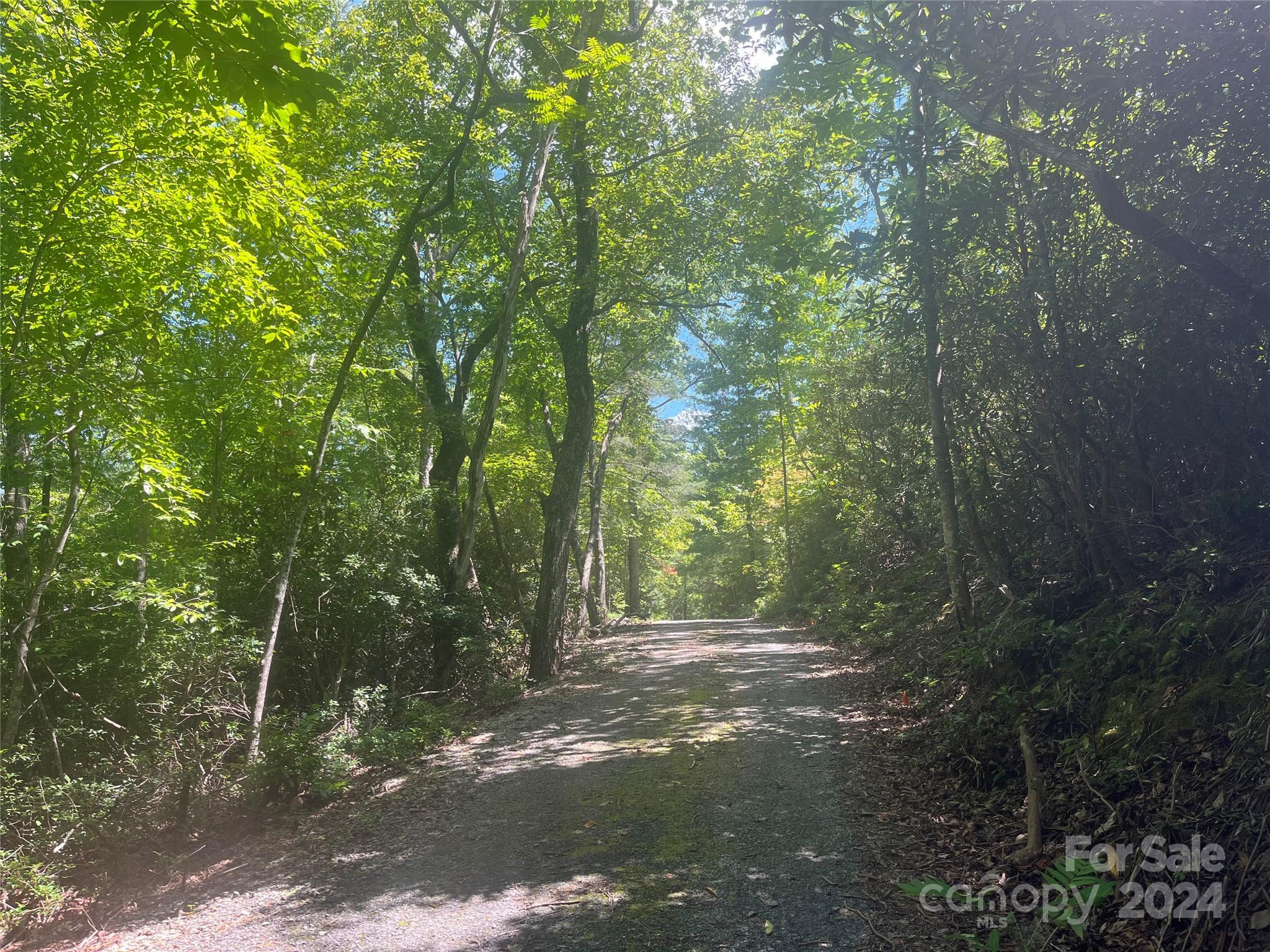 The Camp at Lake Lure - Land