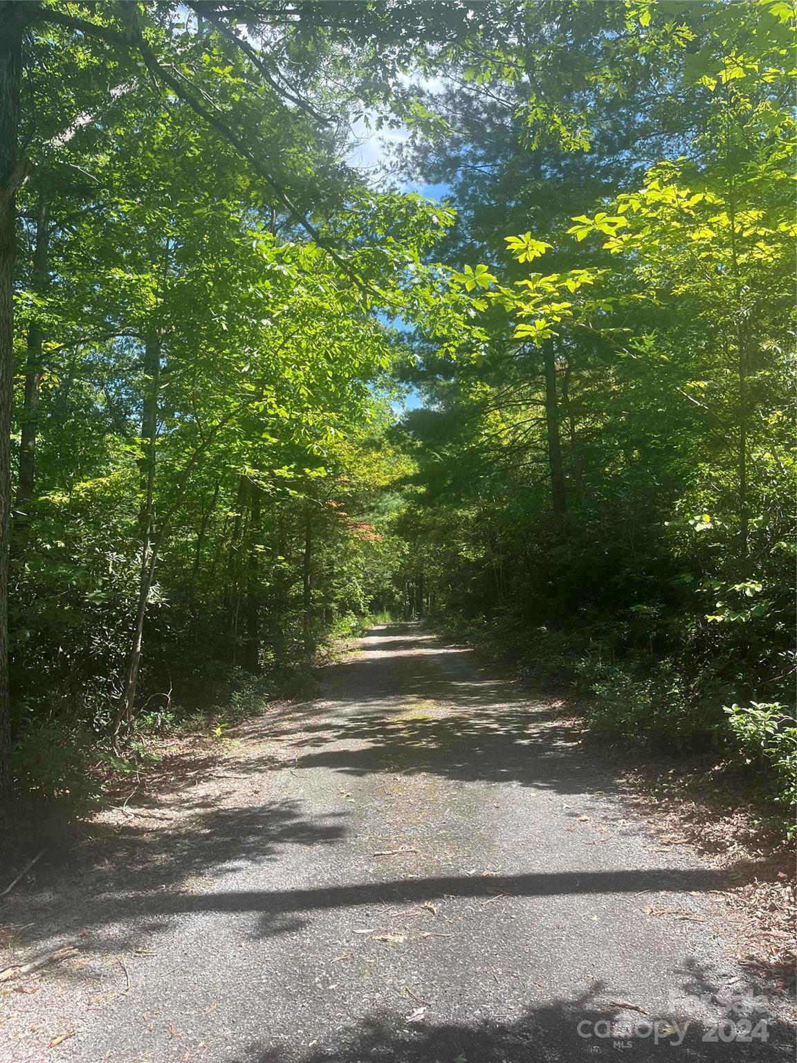 The Camp at Lake Lure - Land