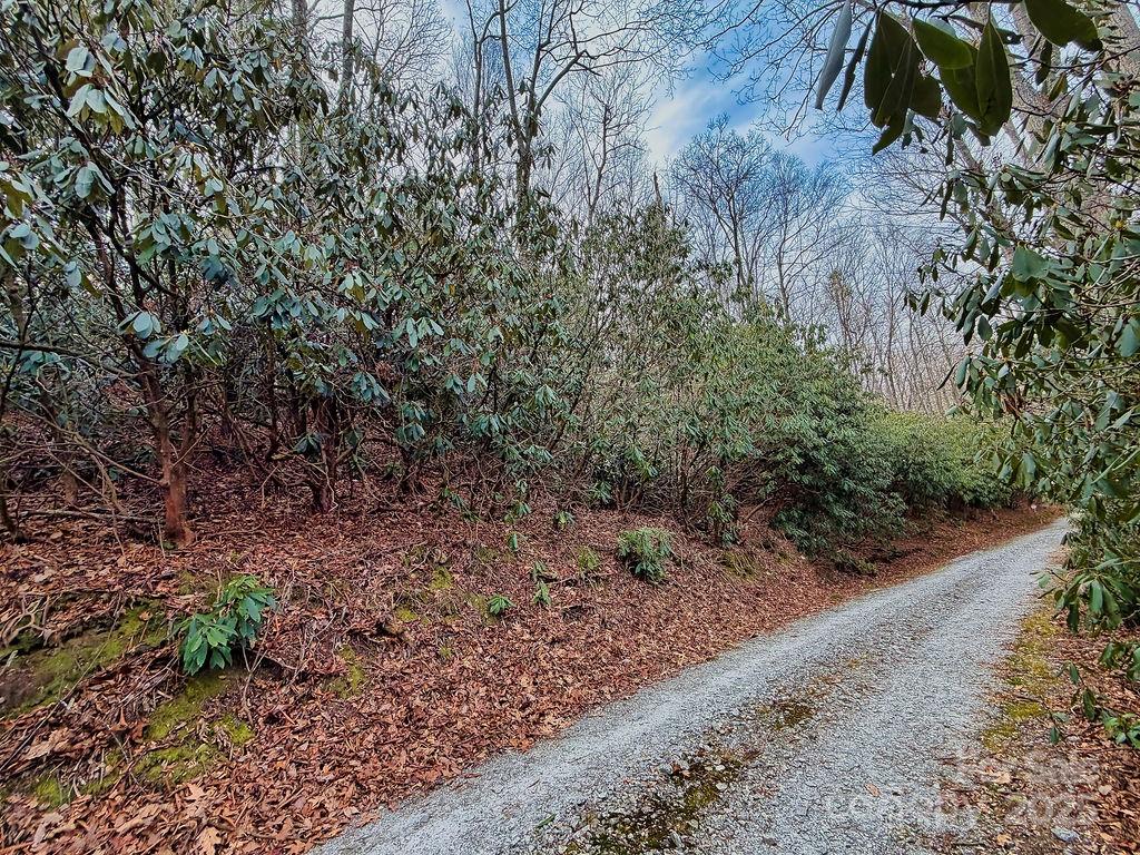 00 Lazy Bear Trail 35-36