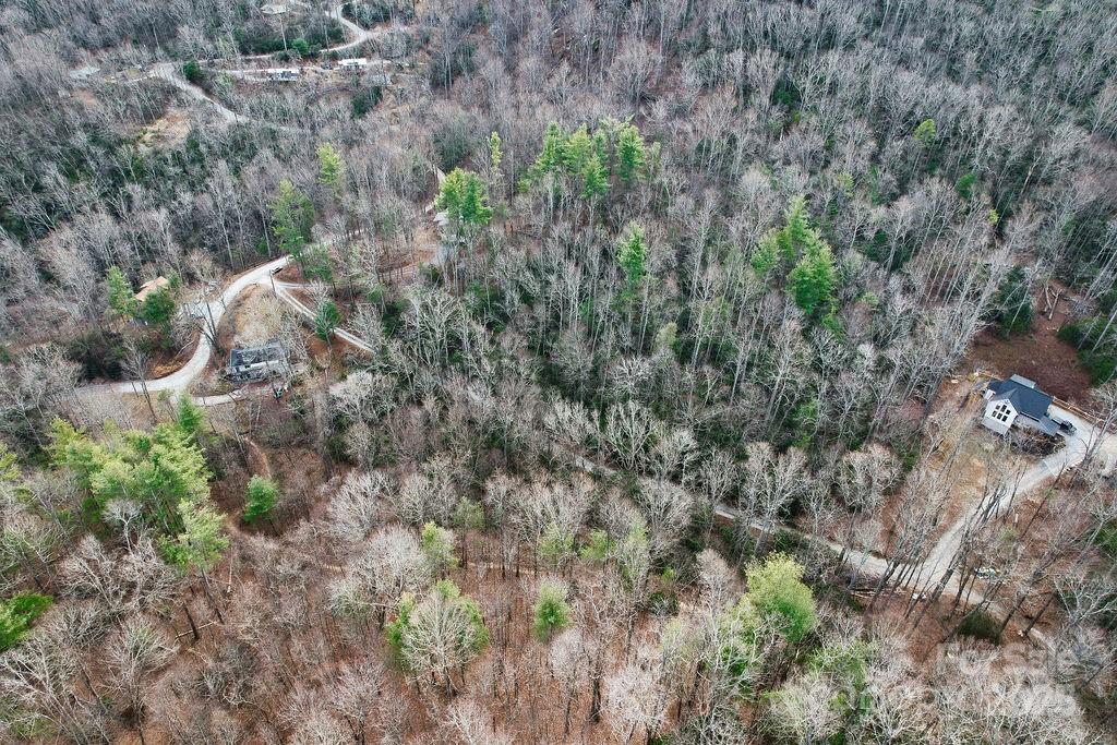 00 Lazy Bear Trail 35-36