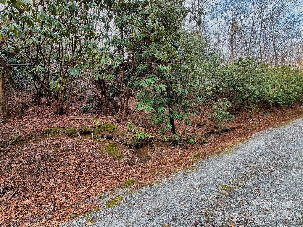 00 Lazy Bear Trail 35-36