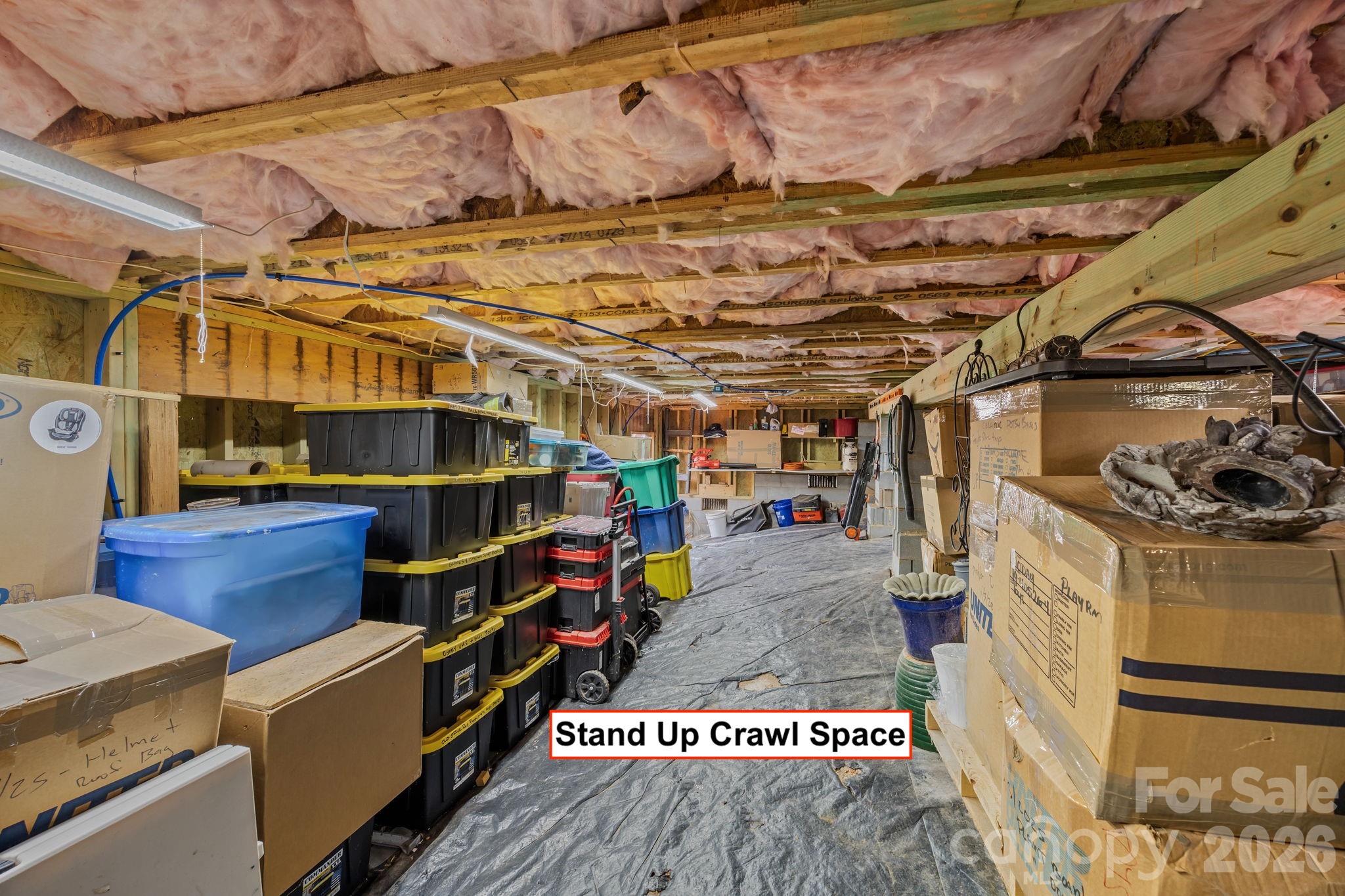 Pine Forest - Residential