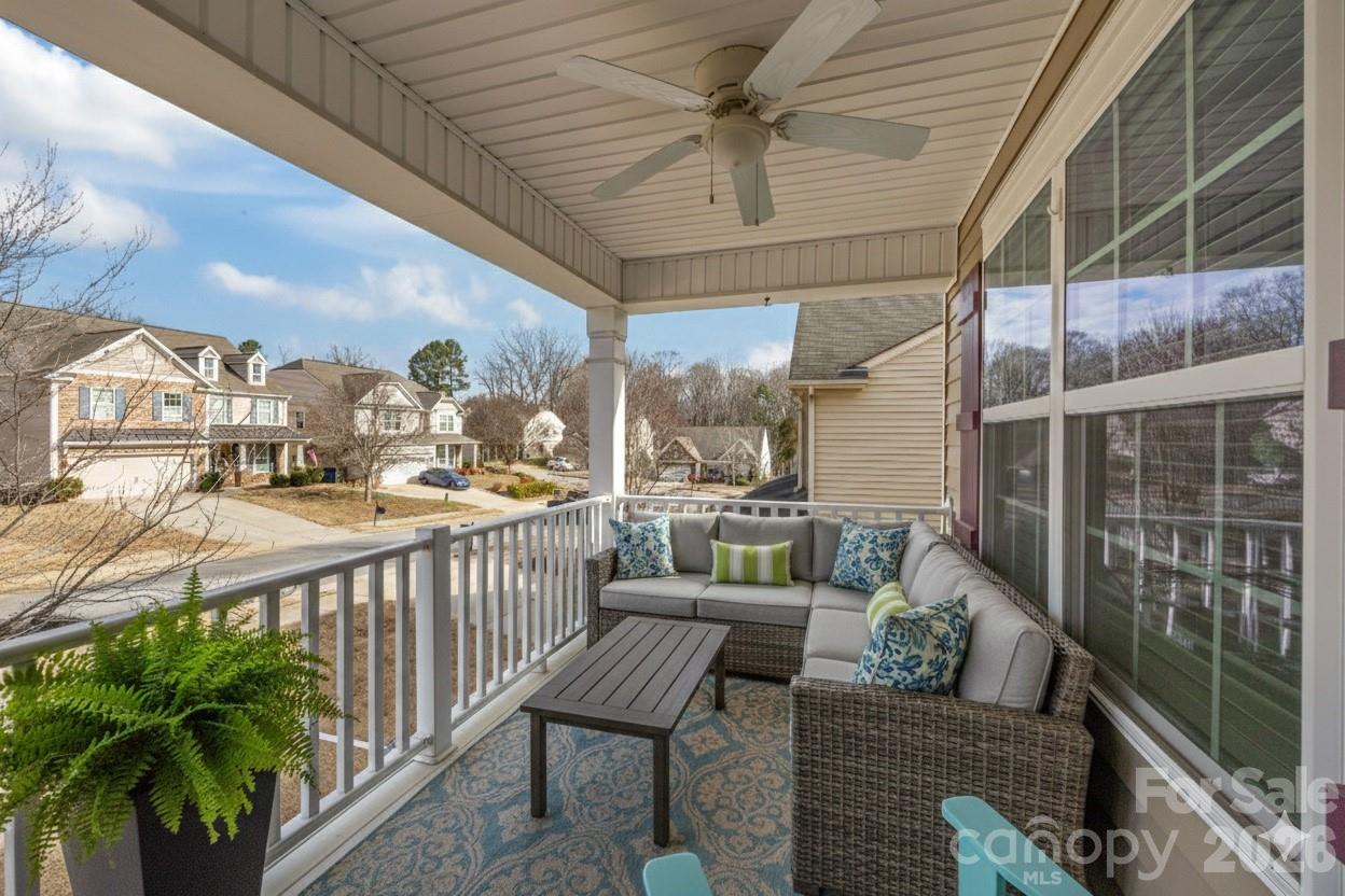 Pine Forest - Residential