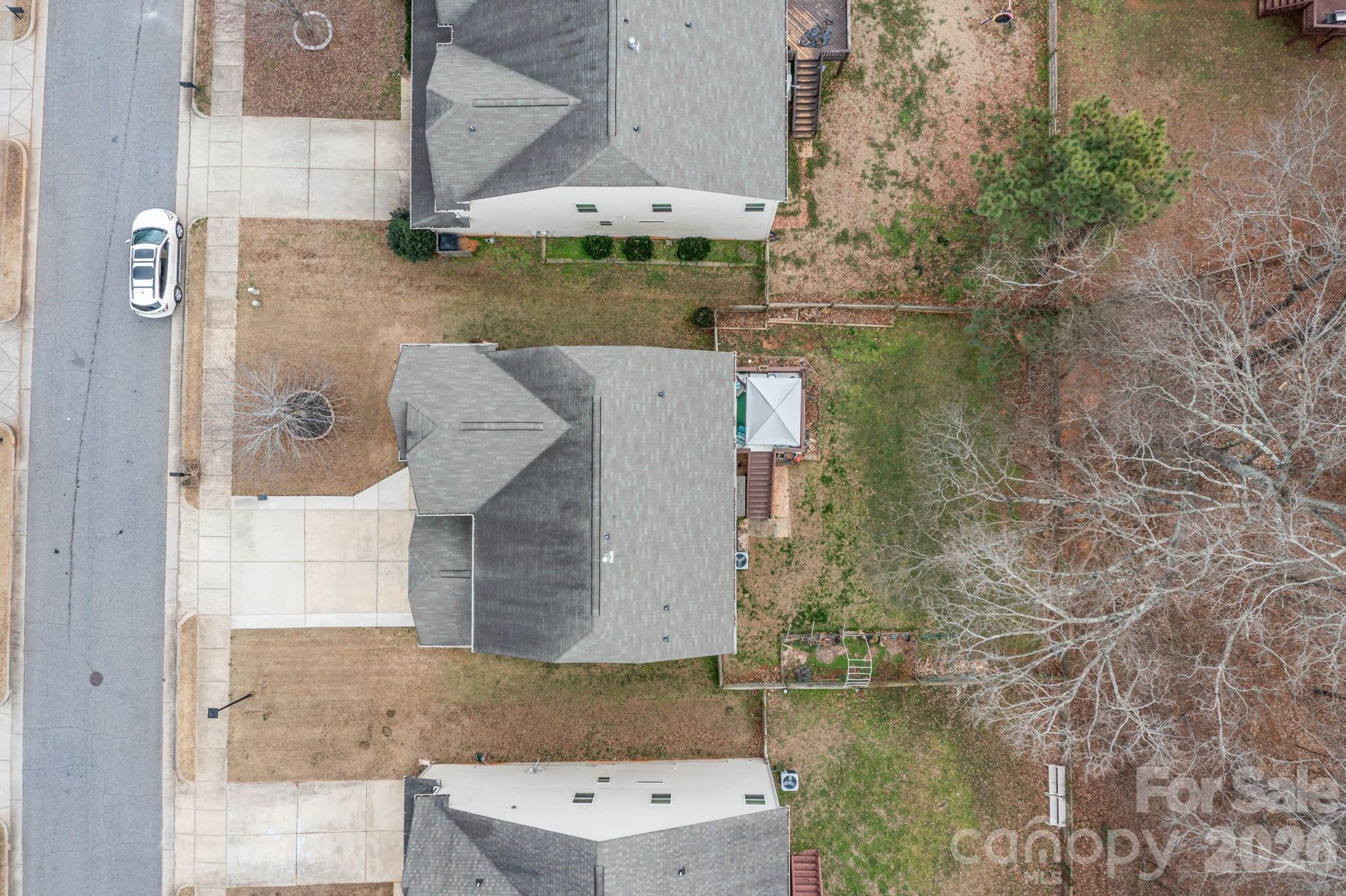 Pine Forest - Residential