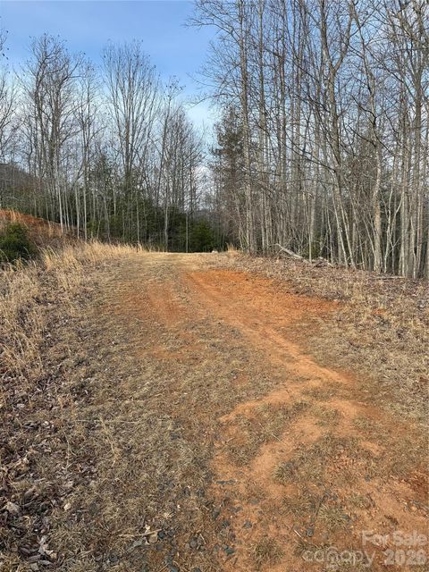 0 White Fawn Drive Spruce Pine NC 28777