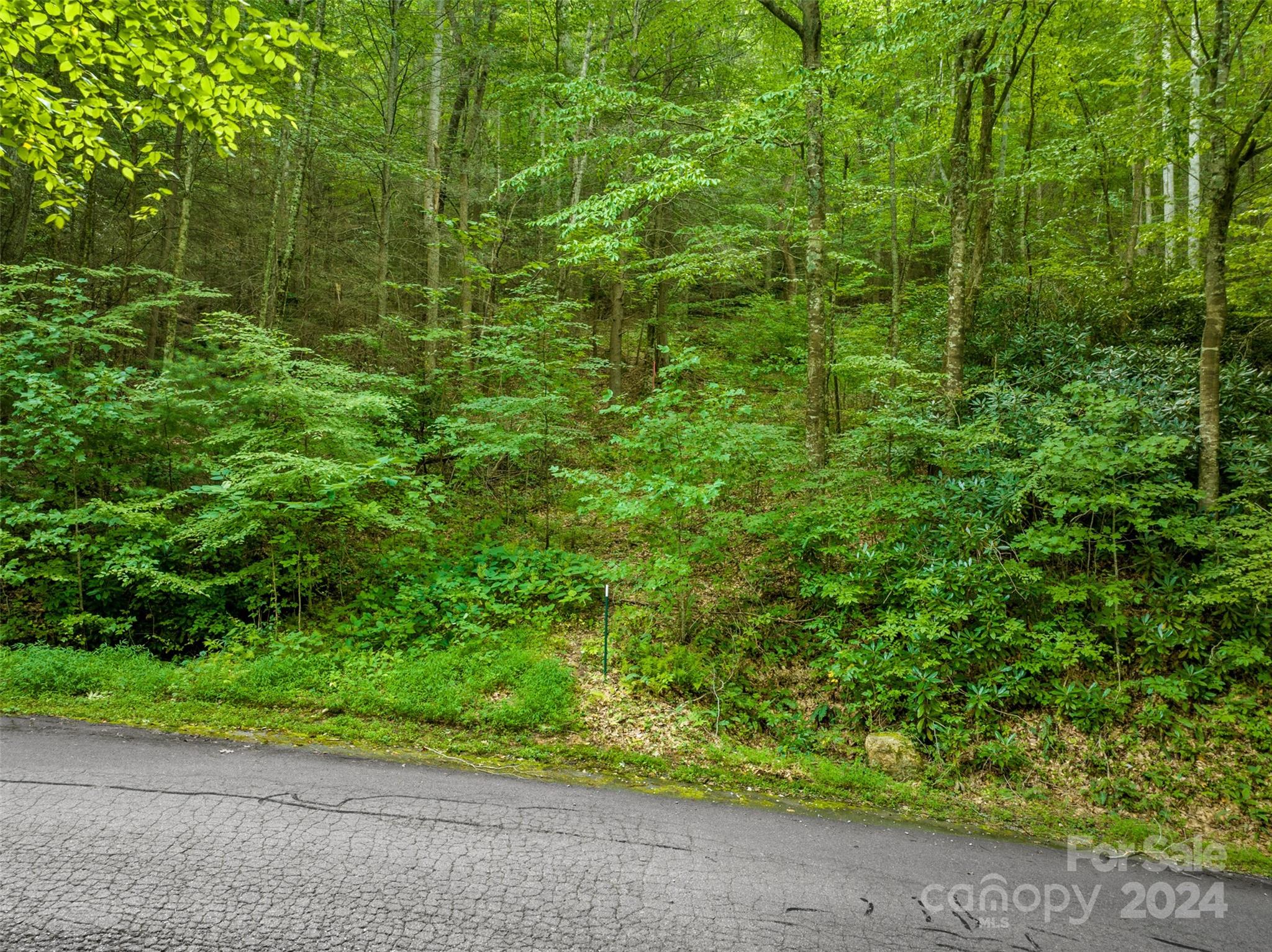 Mountain Park - Land