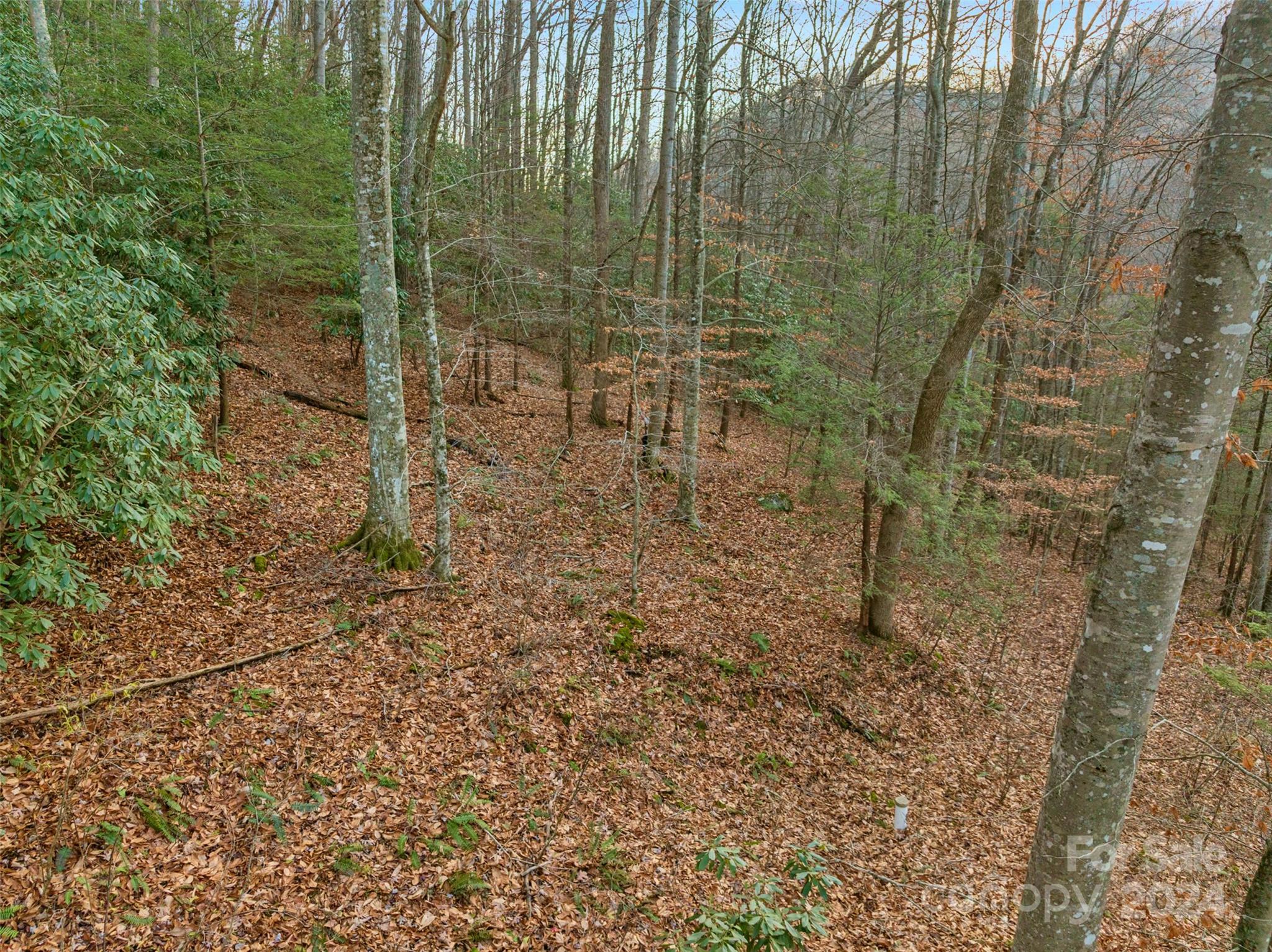 370 Cabin Creek Trail