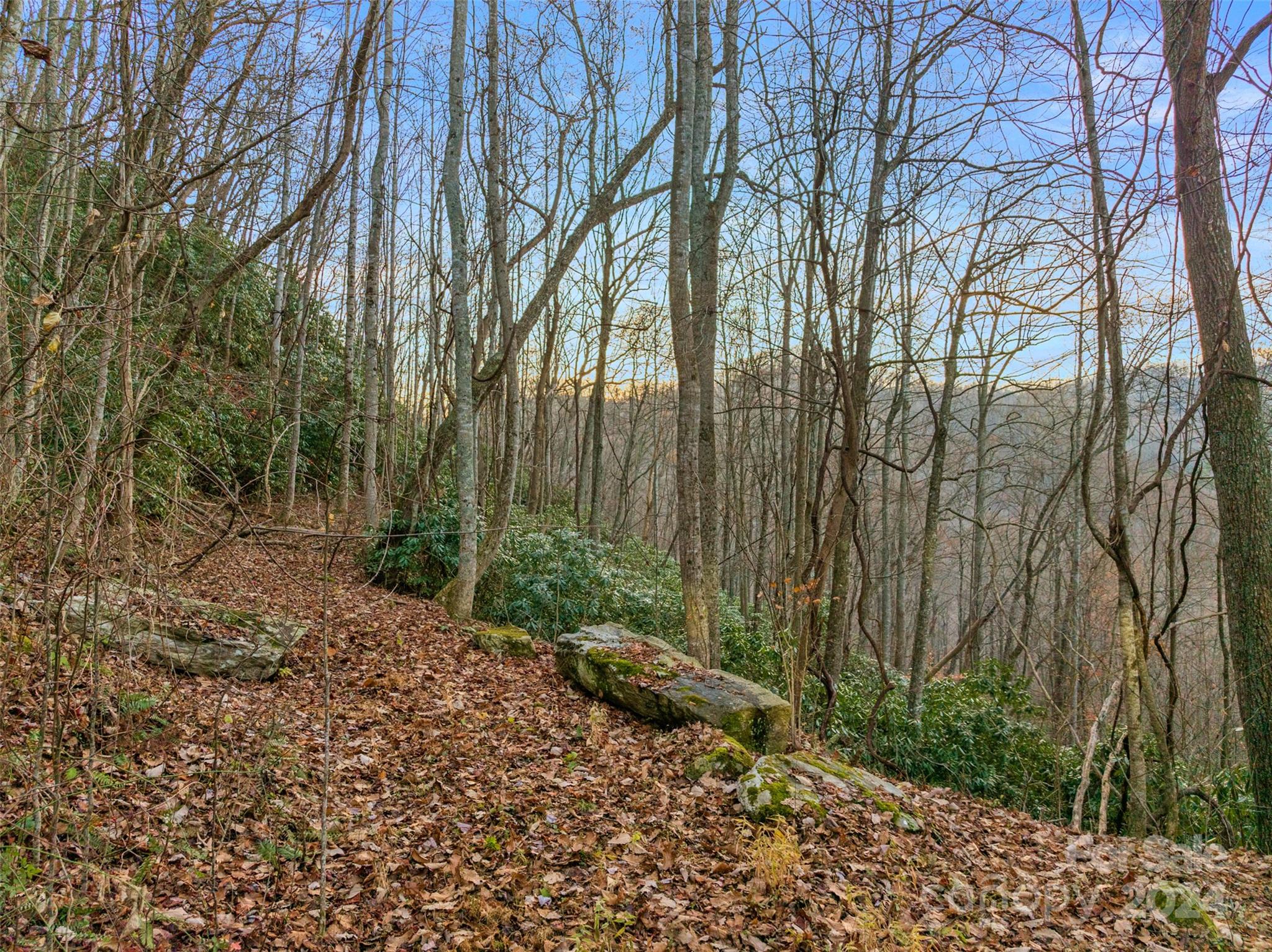 Mountain Park - Land