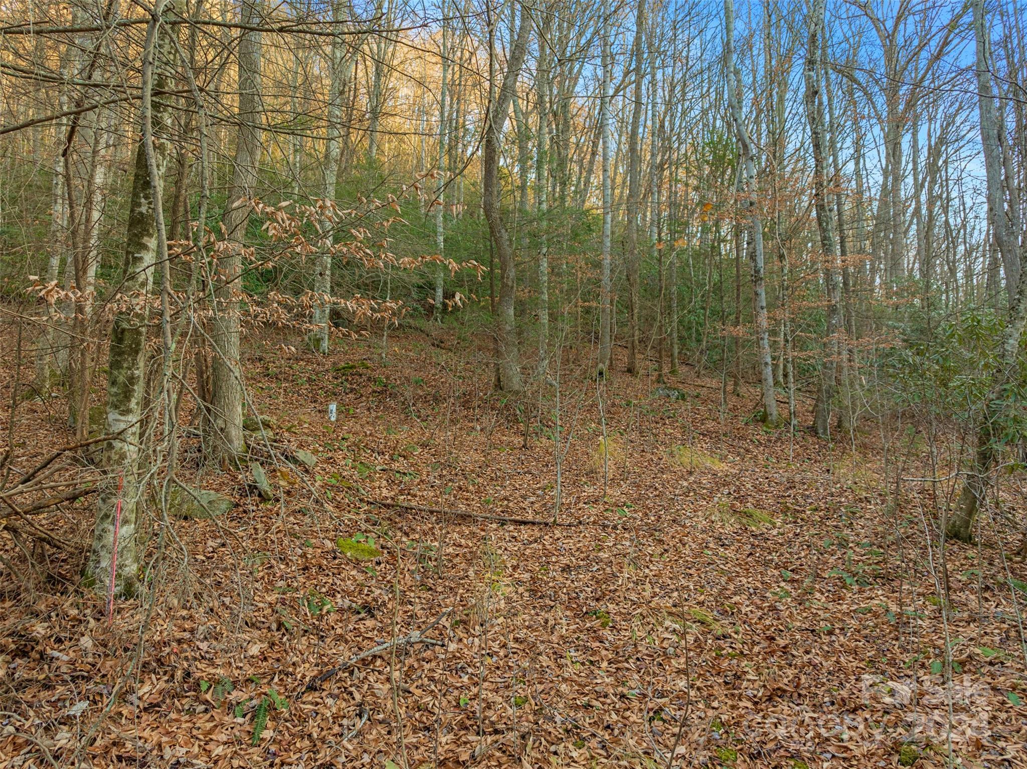 370 Cabin Creek Trail