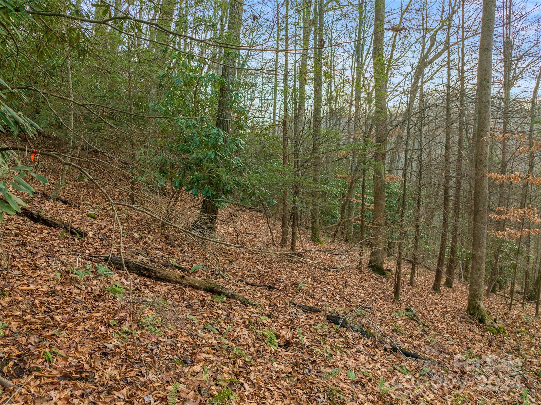 Mountain Park - Land