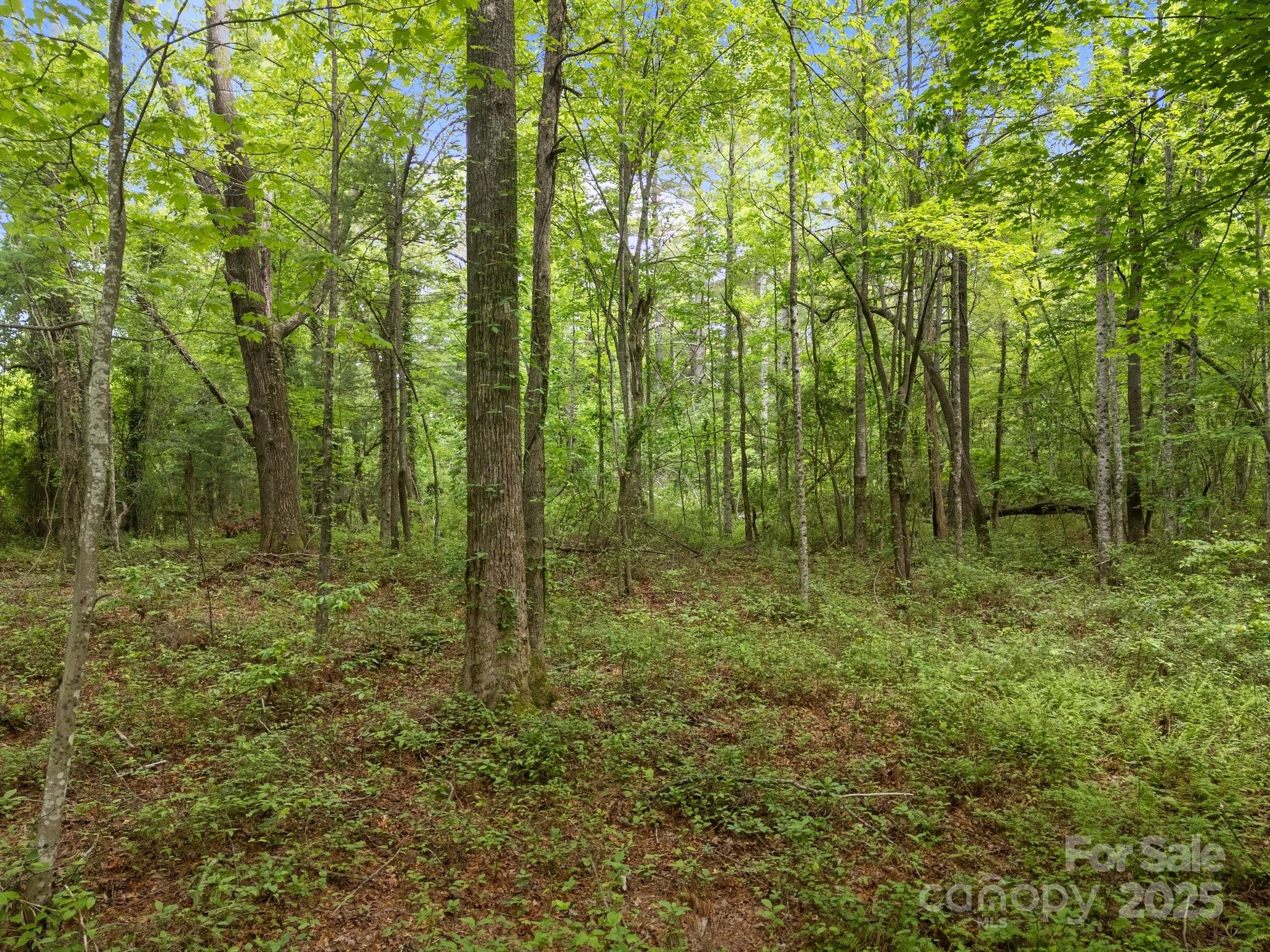King Creek Preserve - Land
