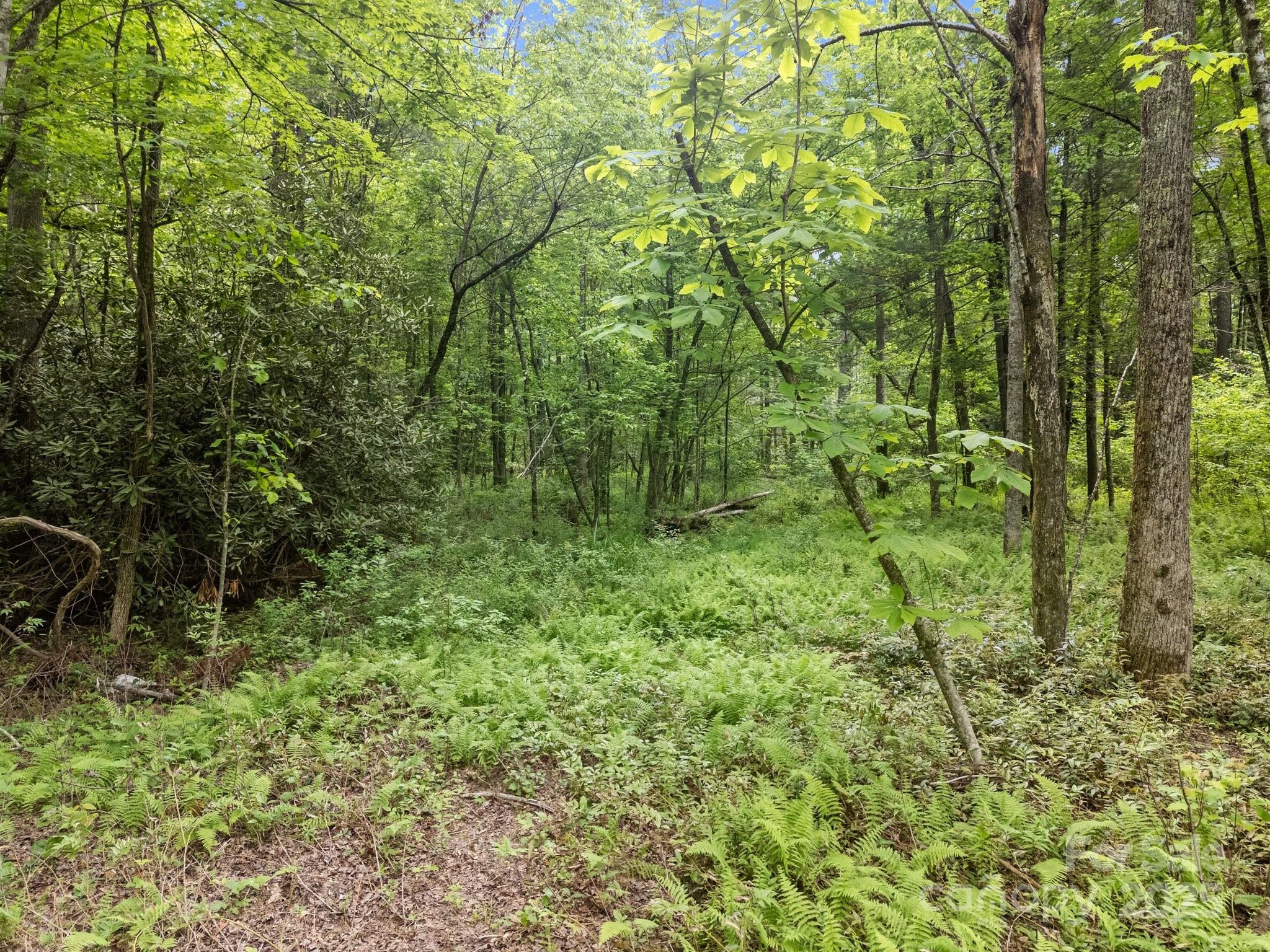 King Creek Preserve - Land