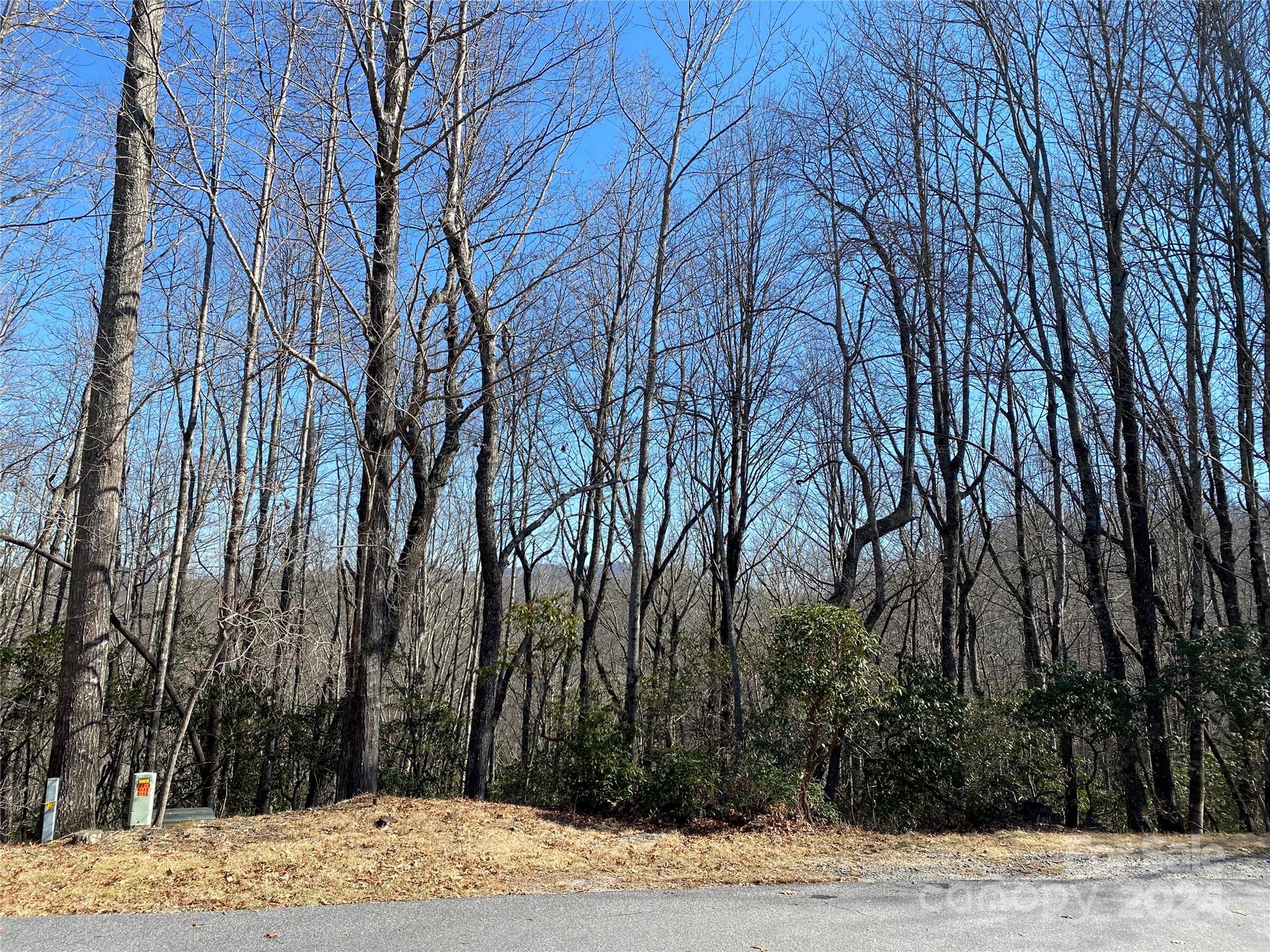 Connestee Falls - Land