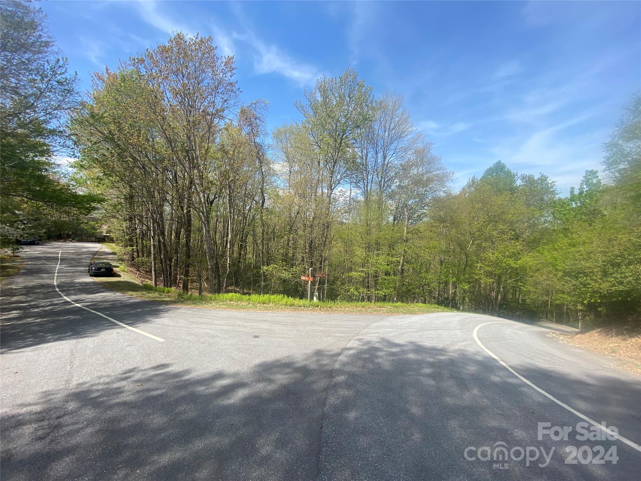 Connestee Falls - Land