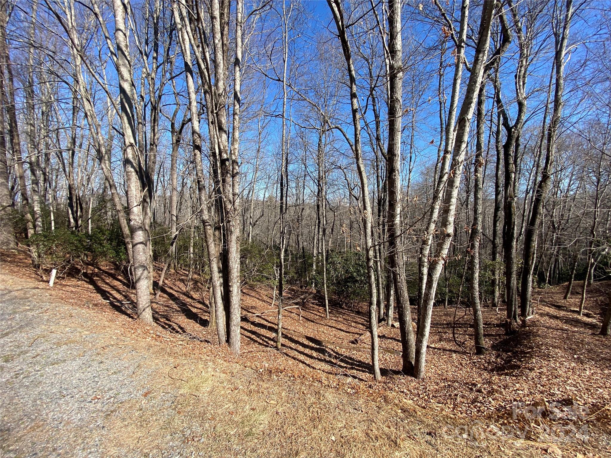 Connestee Falls - Land