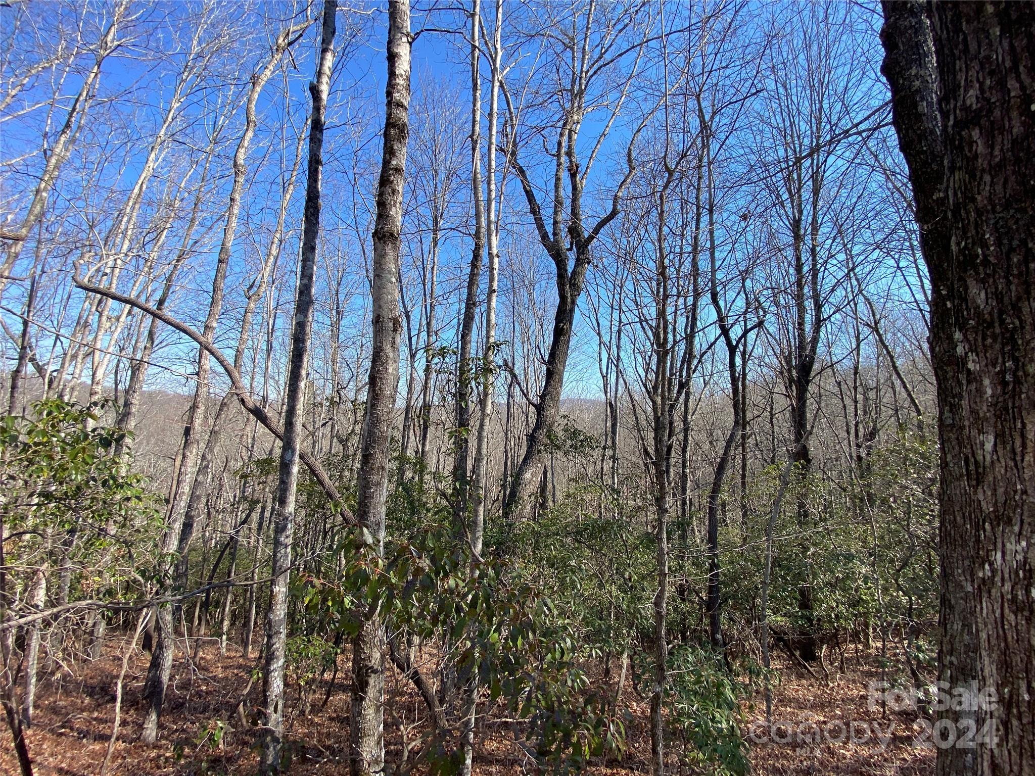 Connestee Falls - Land