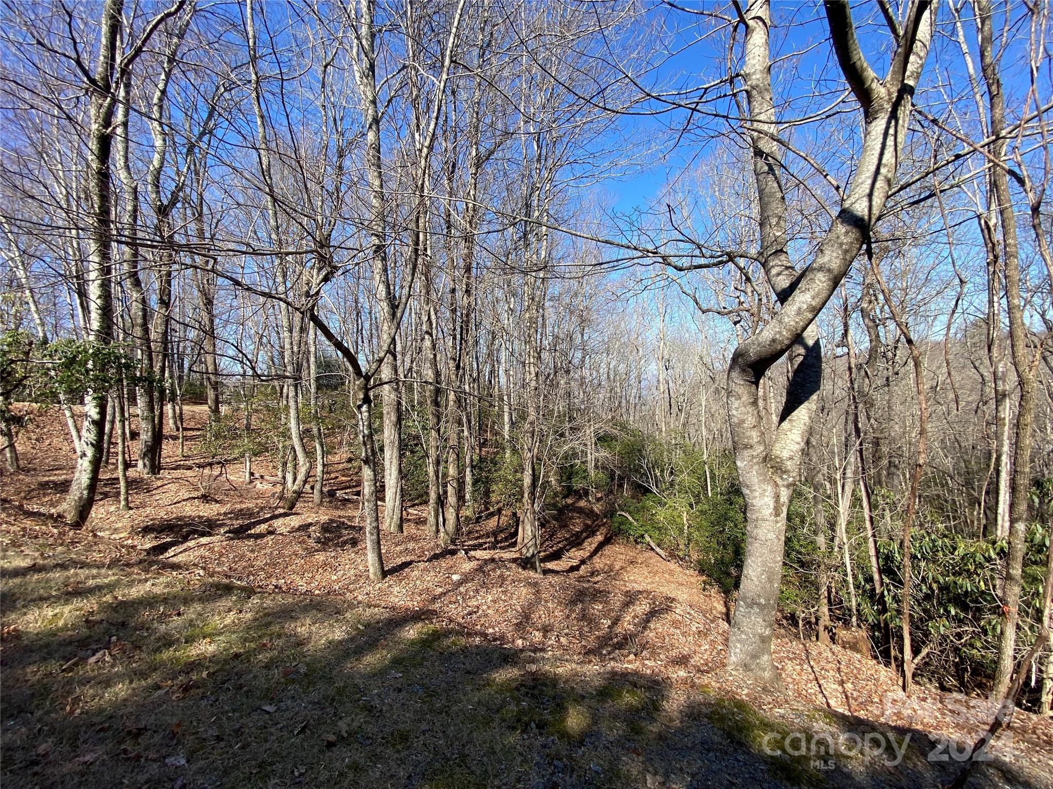 Connestee Falls - Land