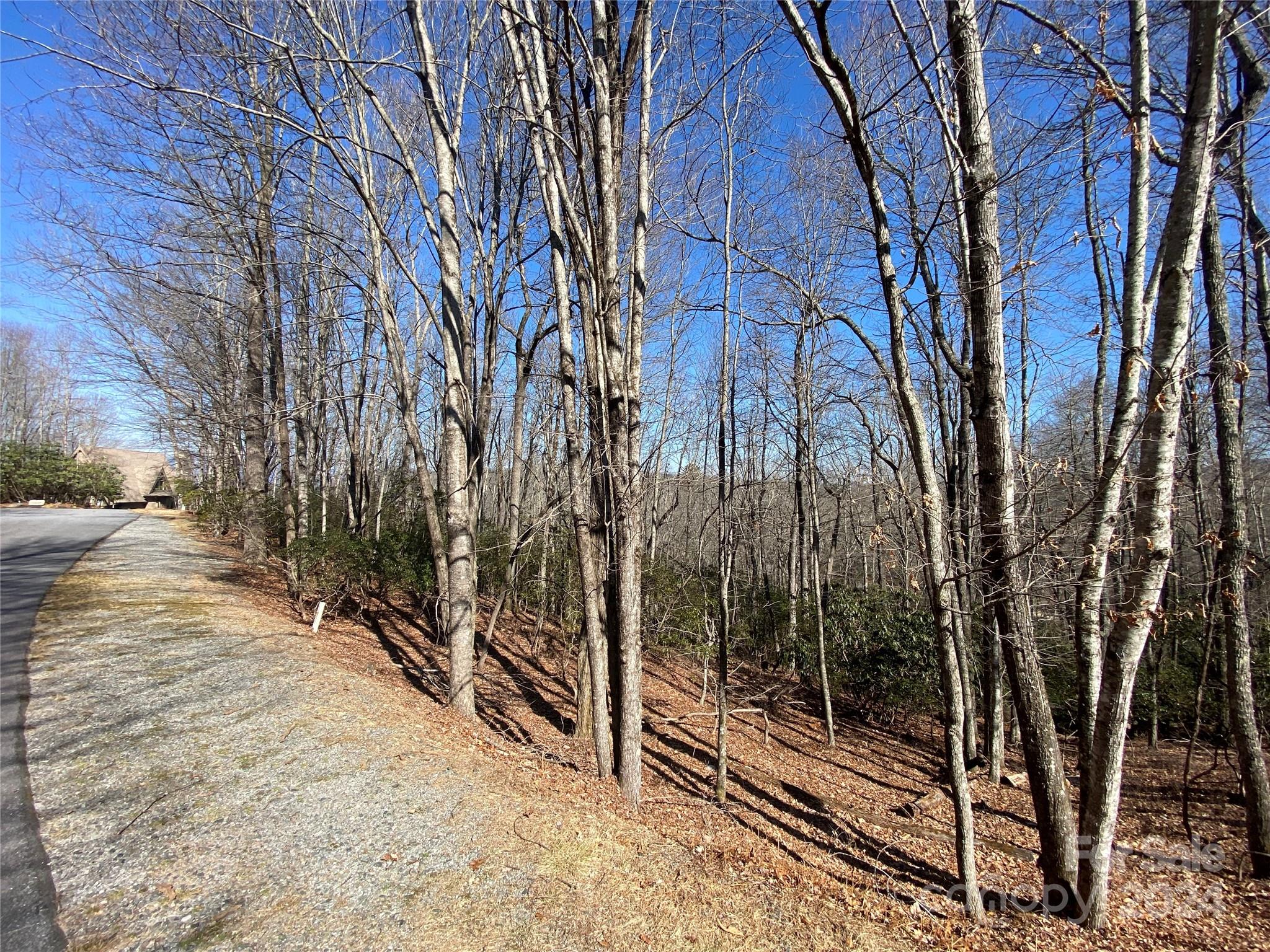 Connestee Falls - Land