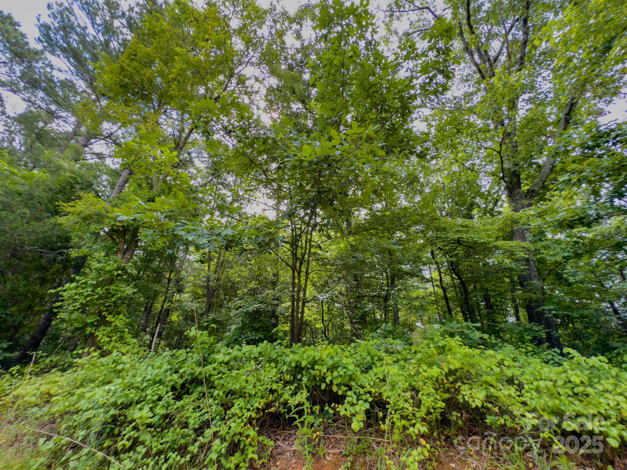 0 Powell Avenue