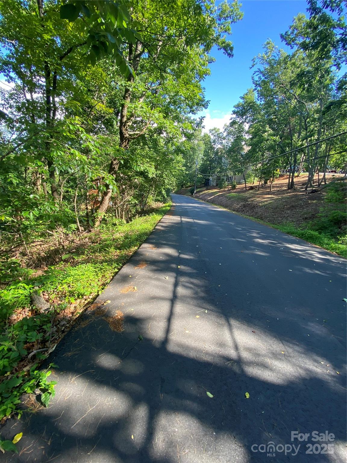 0 Youngs Mountain Drive LOT 21