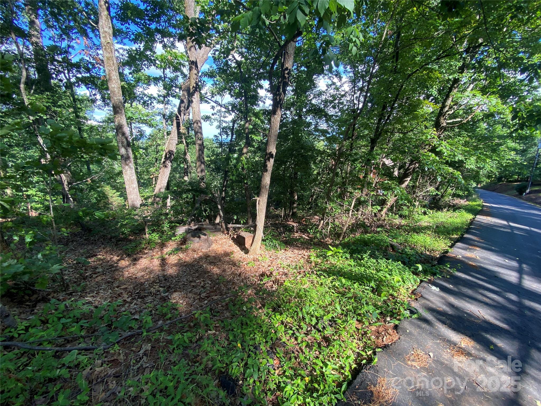 0 Youngs Mountain Drive LOT 21