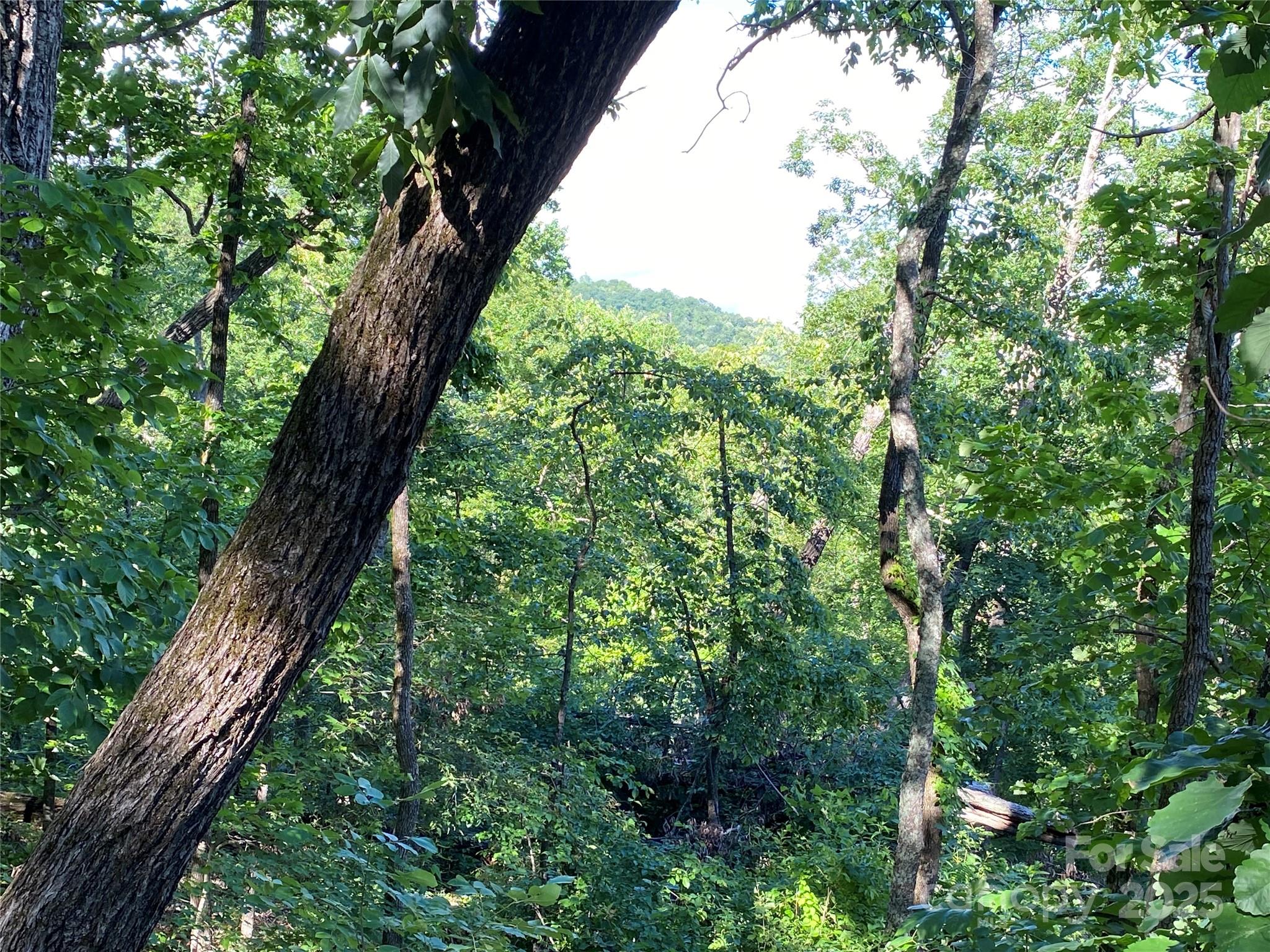 0 Youngs Mountain Drive LOT 21