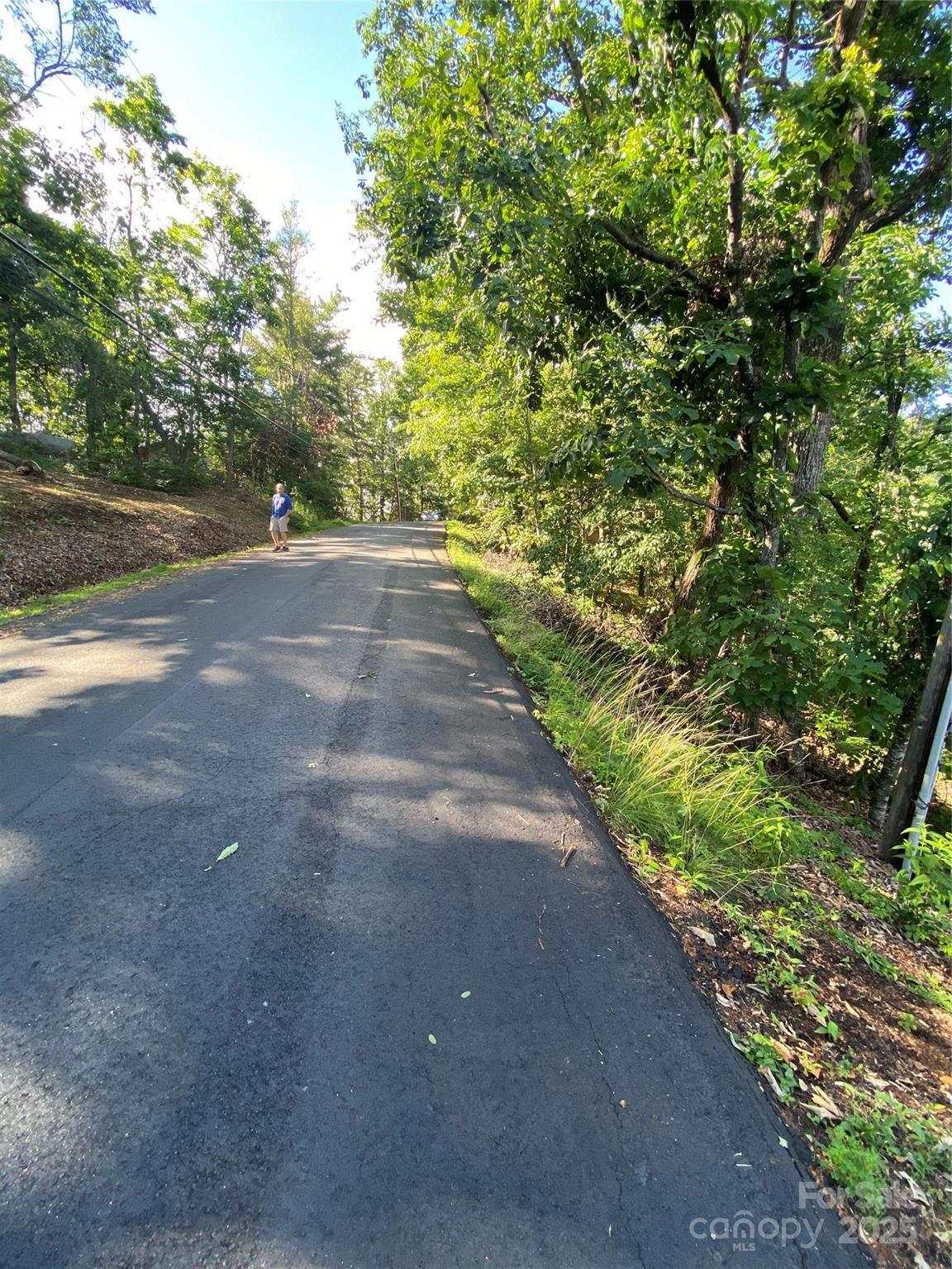 0 Youngs Mountain Drive LOT 21