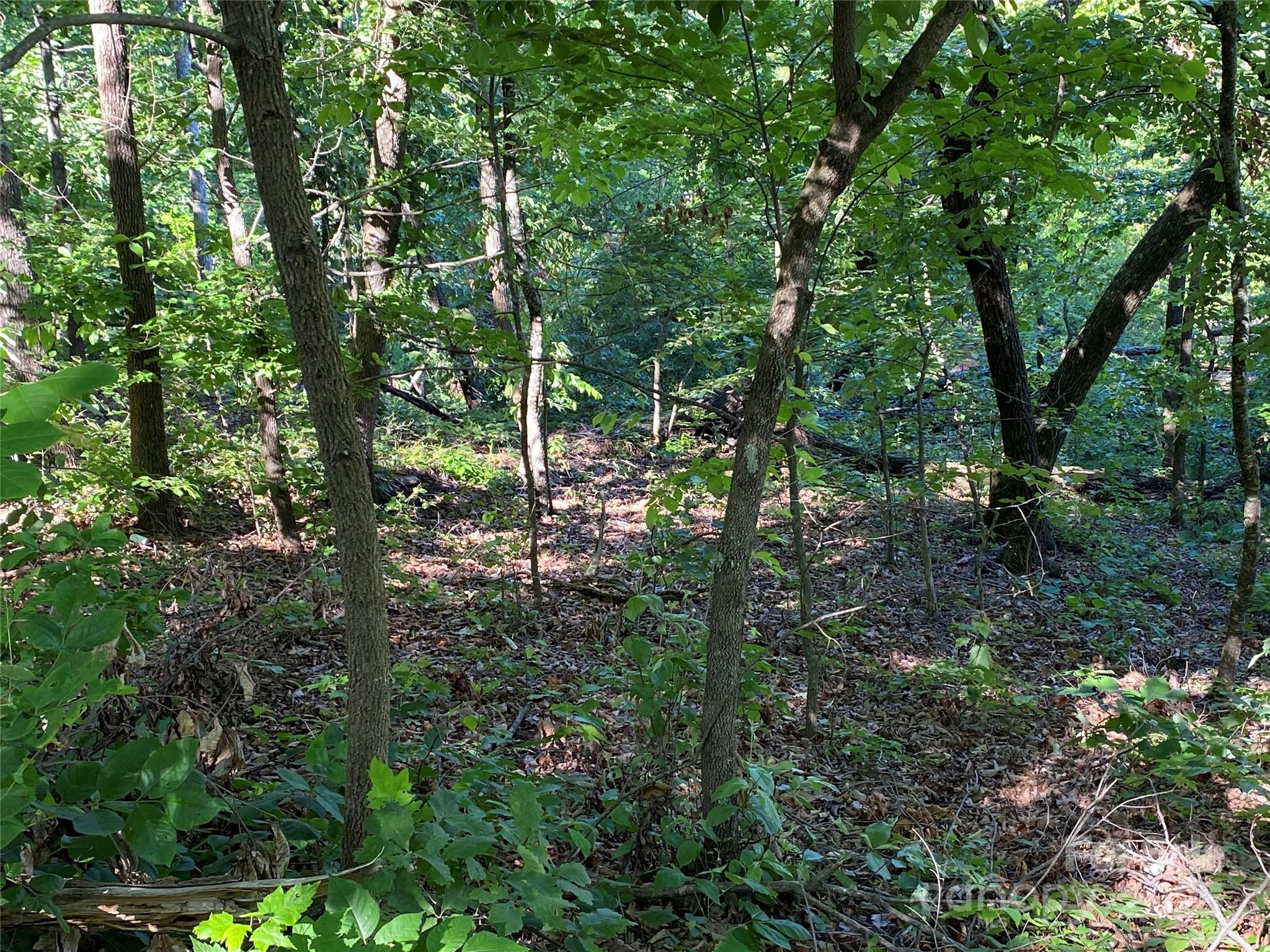 Rumbling Bald on Lake Lure - Land