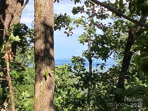 0 Youngs Mountain Drive LOT 21 Lake Lure NC 28746