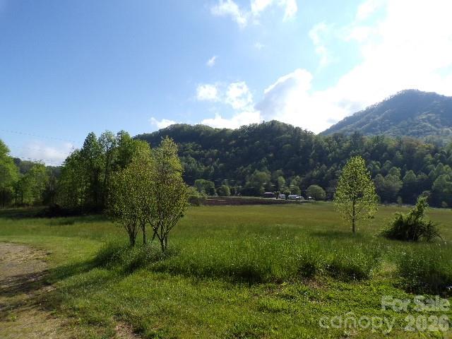 Spring Creek - Residential