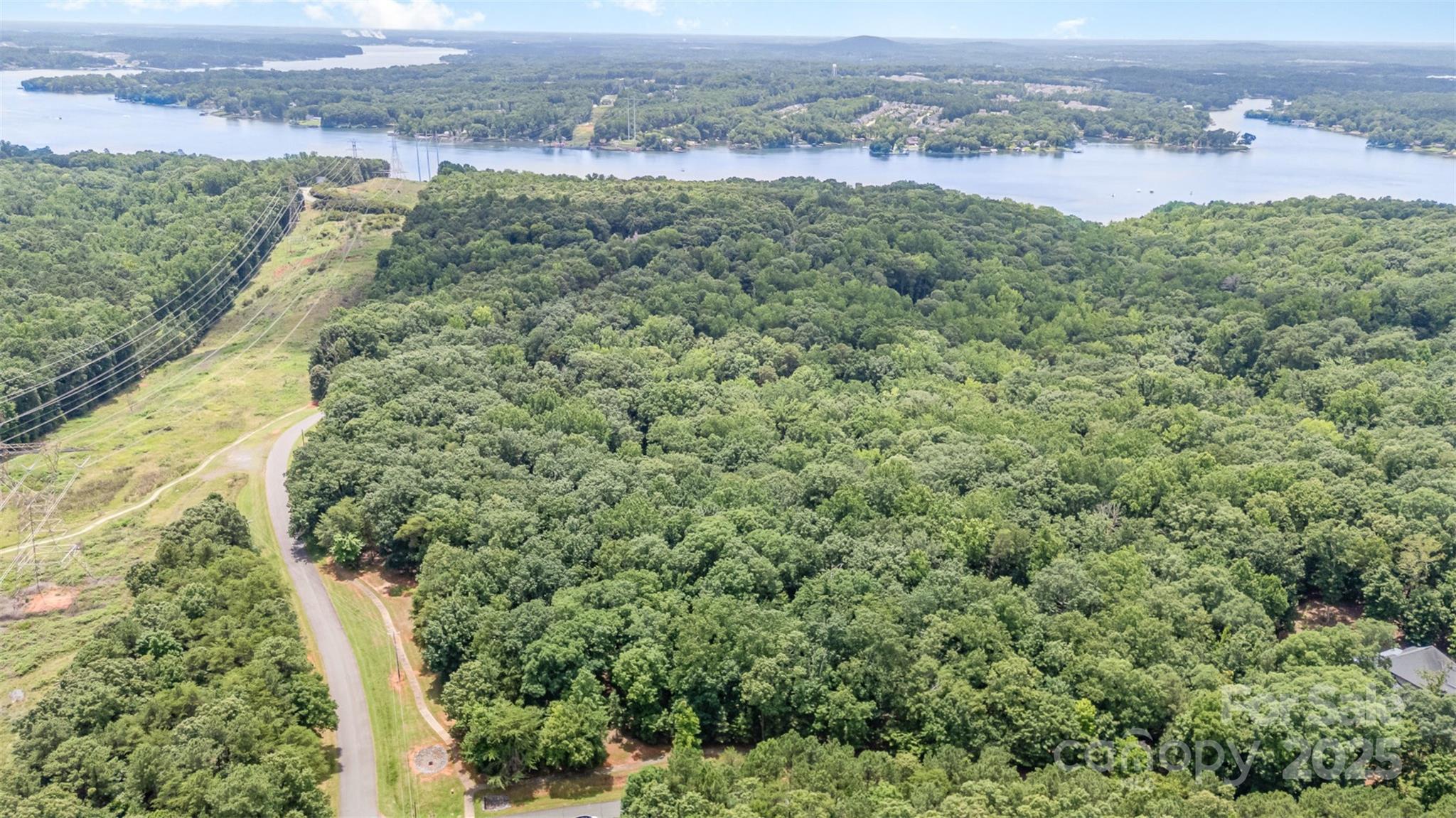 14229 Roe Buck Meadow Lane