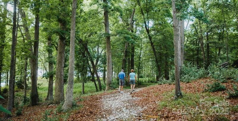 The Sanctuary - Land