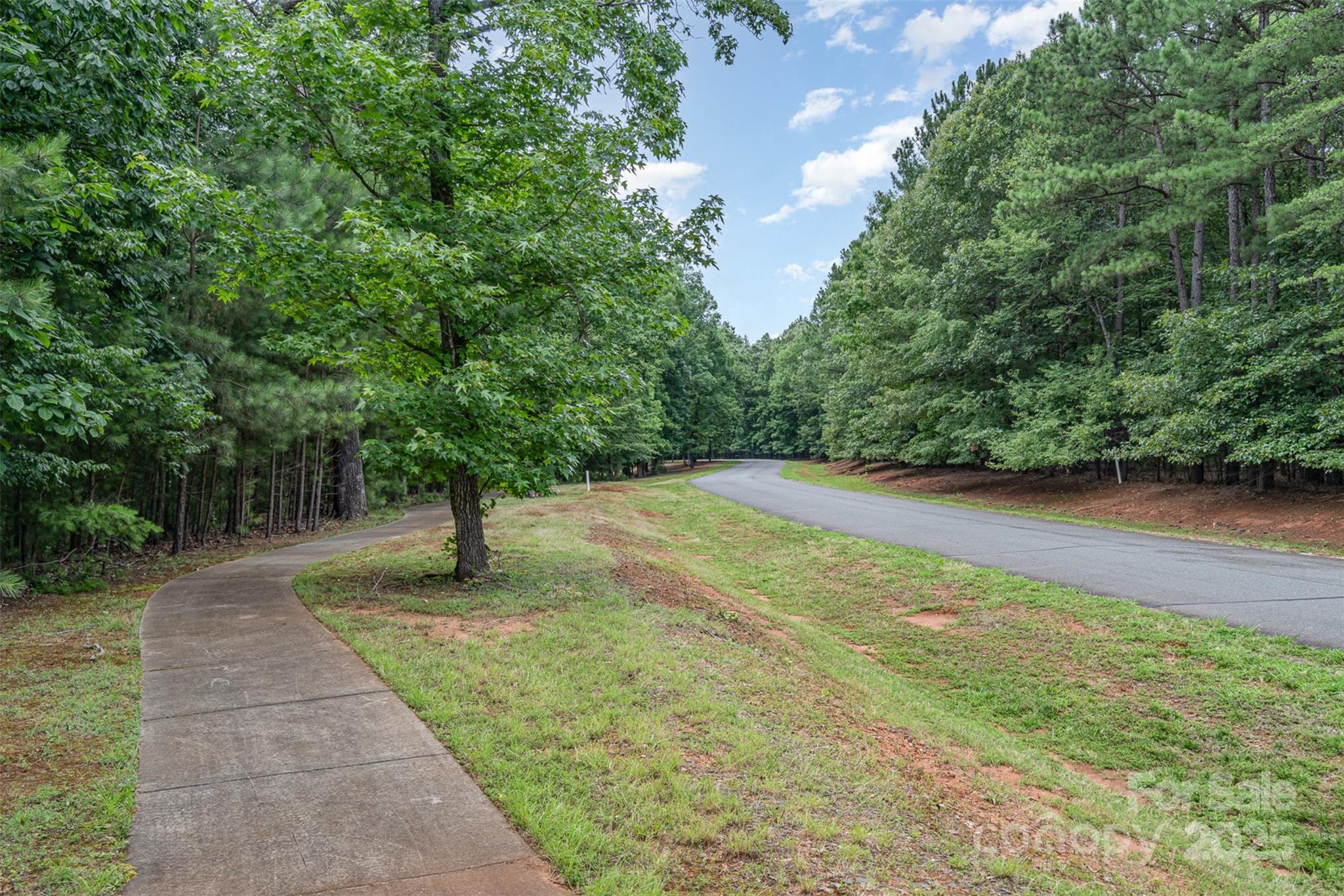 14229 Roe Buck Meadow Lane