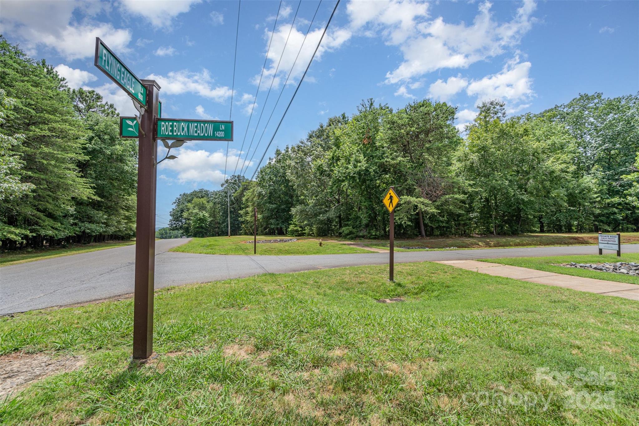14229 Roe Buck Meadow Lane