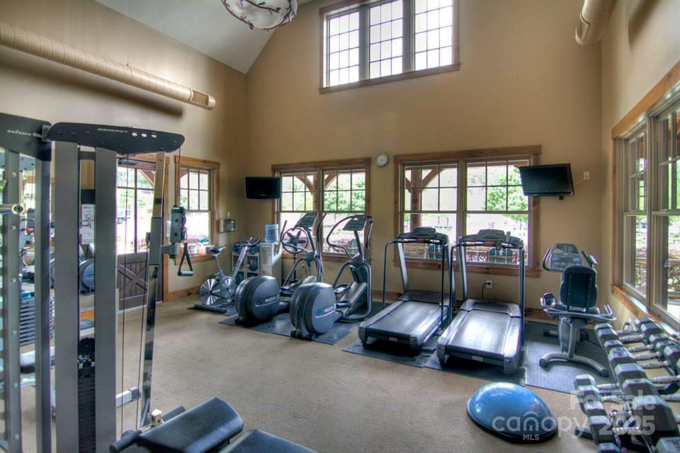 The Sanctuary - Land