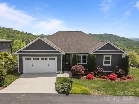 9 Endless View Drive Weaverville NC 28787