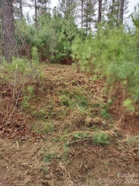 The Waterfront Club - Land