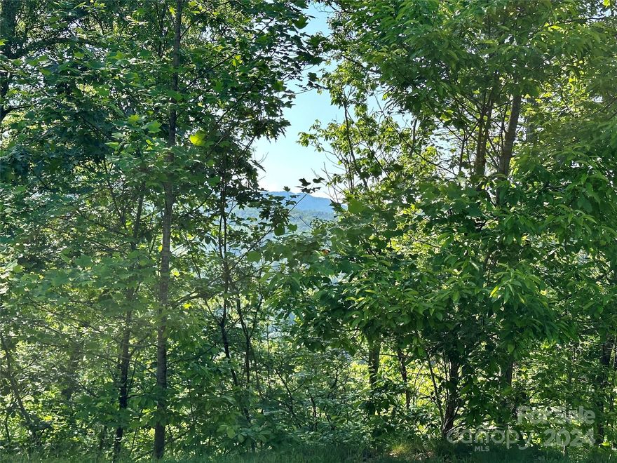 With lovely sunrise and river views, this 2.47 acre lot is waiting for you to build your dream mountain retreat! Are you looking for the perfect location to execute that dream? Look no further! This just might be "that" spot where you can have it all! If you're looking for the perfect sanctuary to build your dream mountain home or vacation getaway, you have found it here. There is conservation land on one side & one lot that is also available on the other! Privacy! French Broad Crossing is a gated conservation community with easy access to Asheville, Hot Springs, and Weaverville, all with activities galore! Enjoy the River Lodge, Fitness Center, Pool, River Park, Treehouse, and miles of walking/ATV trails! Relax and watch the sunset from the River Lodge, gather with family and friends by the fire, or just absorb nature on the trails. This is THE place to check out of the daily hustle and bustle and take a deep breath! Fiber Optic cable has also been wired throughout the neighborhood. FBC has a designated medical helicopter landing zone.