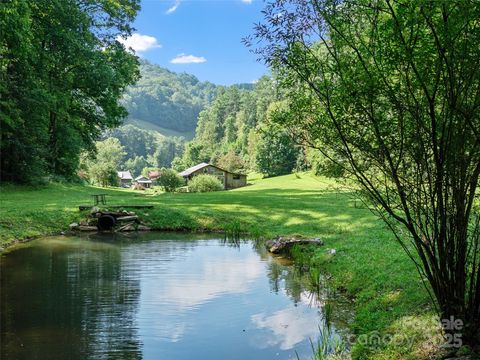 9065 NC 63 Highway Leicester NC 28748