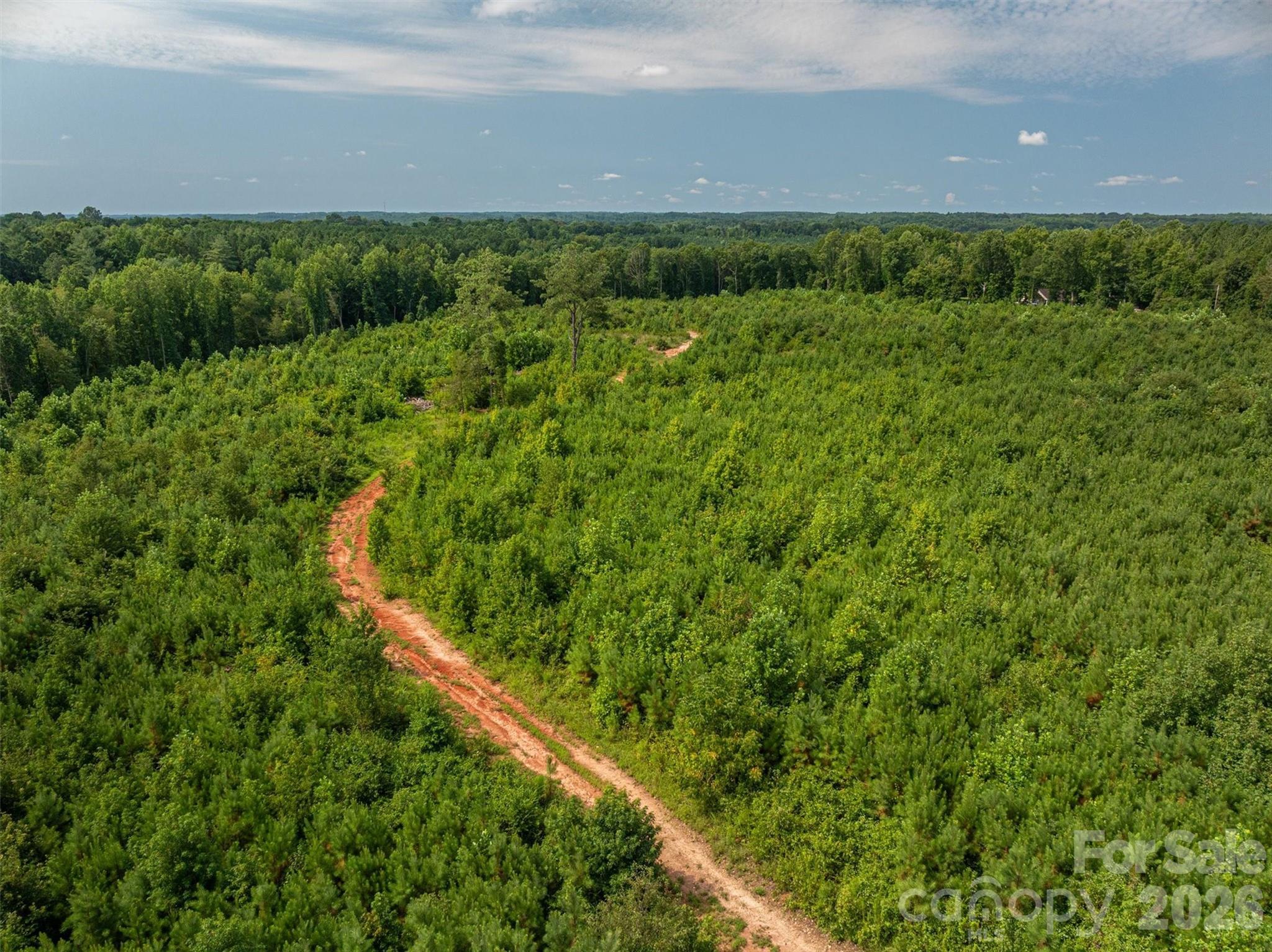 McCurry Farms - Land