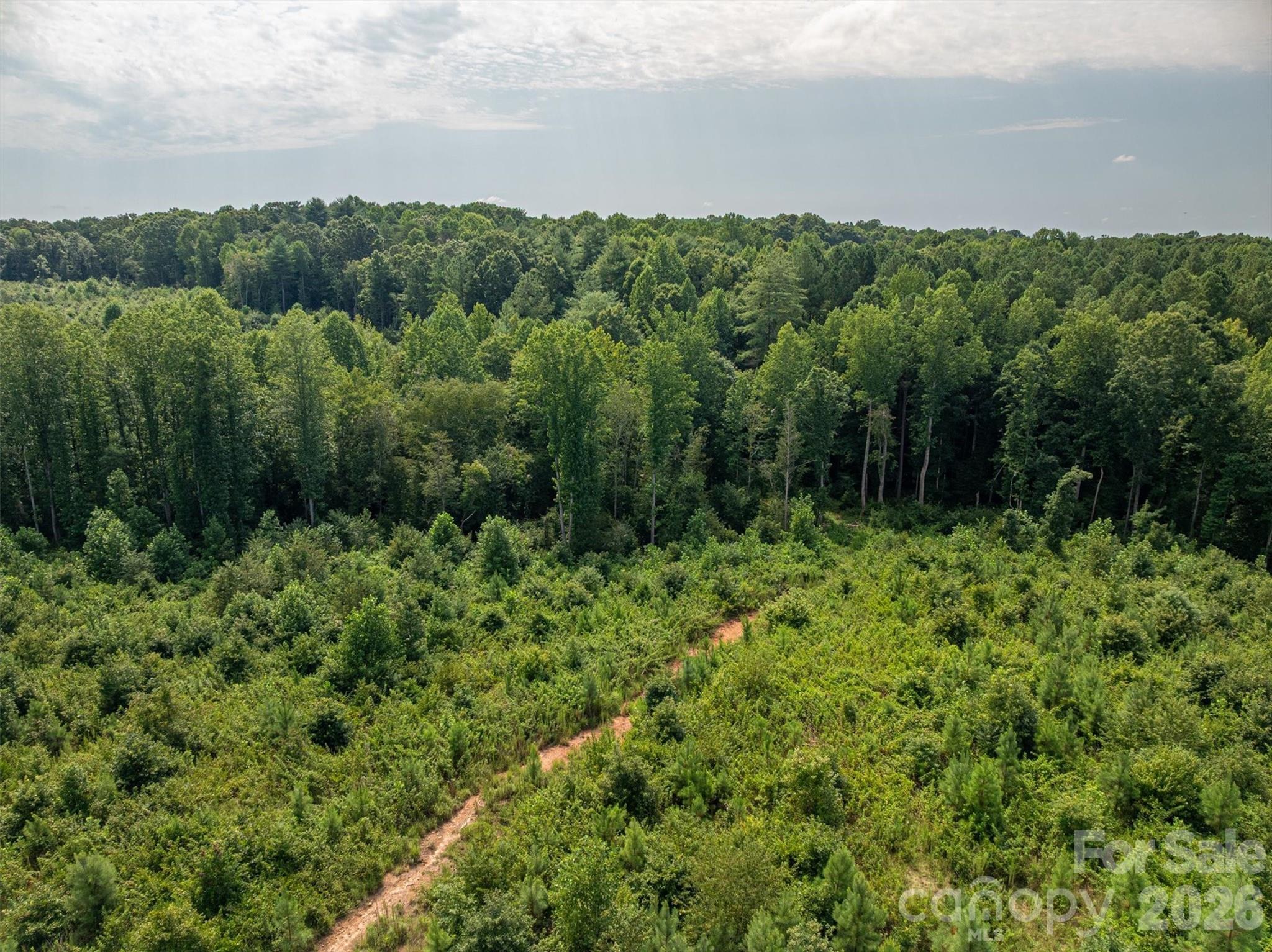 McCurry Farms - Land