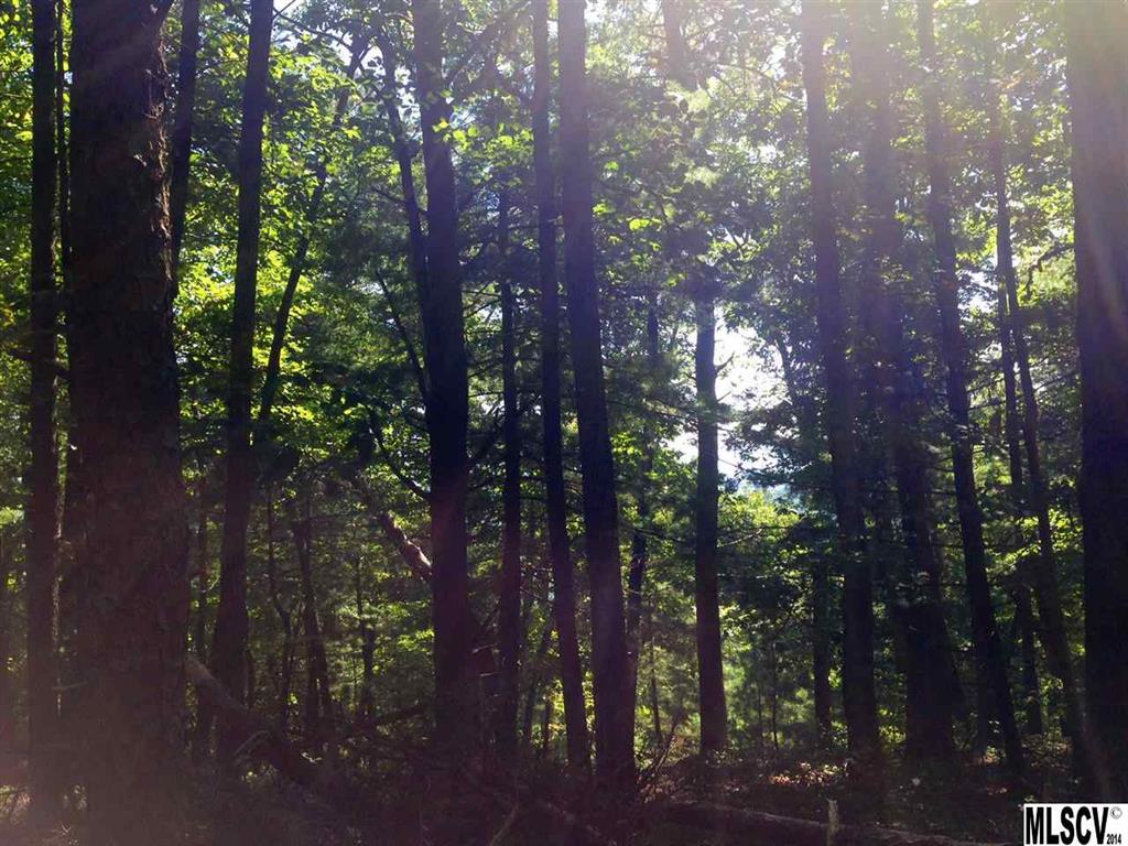 Pine Mountain Estates - Land