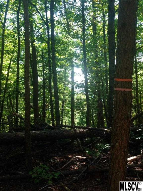 Pine Mountain Estates - Land