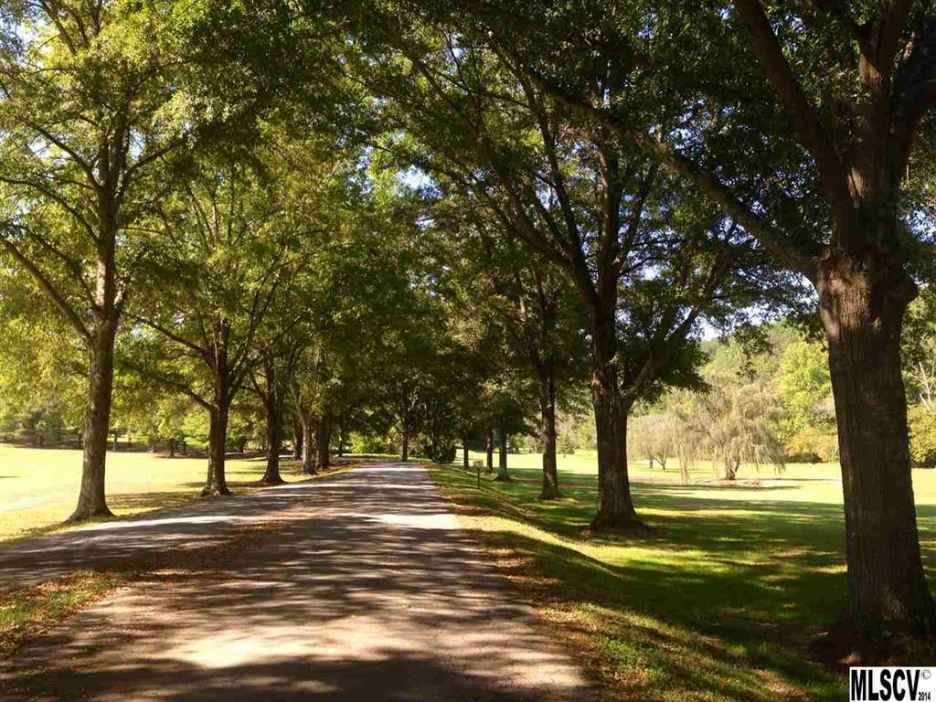 Pine Mountain Estates - Land