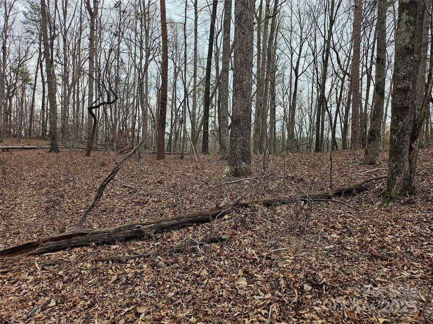 LOCATION, LOCATION, LOCATION...This is one of the last large acreages in the City Limits of Columbus, the County Seat for Polk, North Carolina. Along with what is already here, there is continued growth and development. It has a small-town feel with proximity to Asheville, Hendersonville, Spartanburg, and Greenville, South Carolina. Walk to everything and be a minute to Interstates, airports, and the great outdoors. More acreage available in addition to the forty...
Call the Listing agent to see and feel the possibilities!