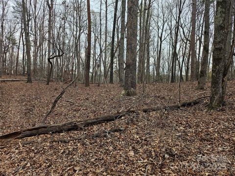 000 Weaver Mill Road Columbus NC 28722