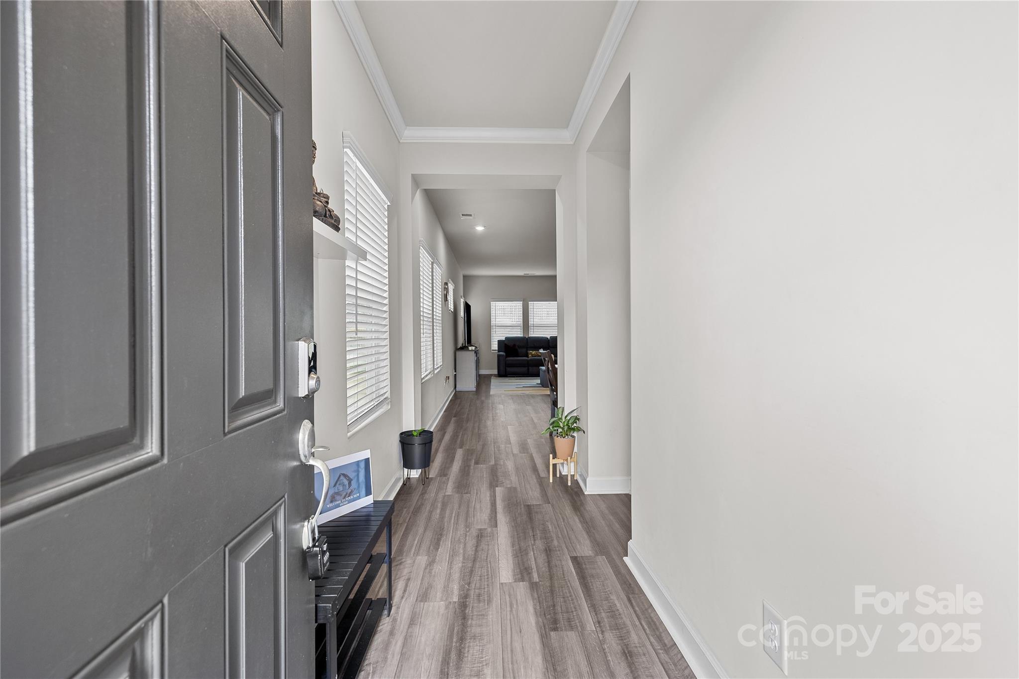 310 Hyssop Court