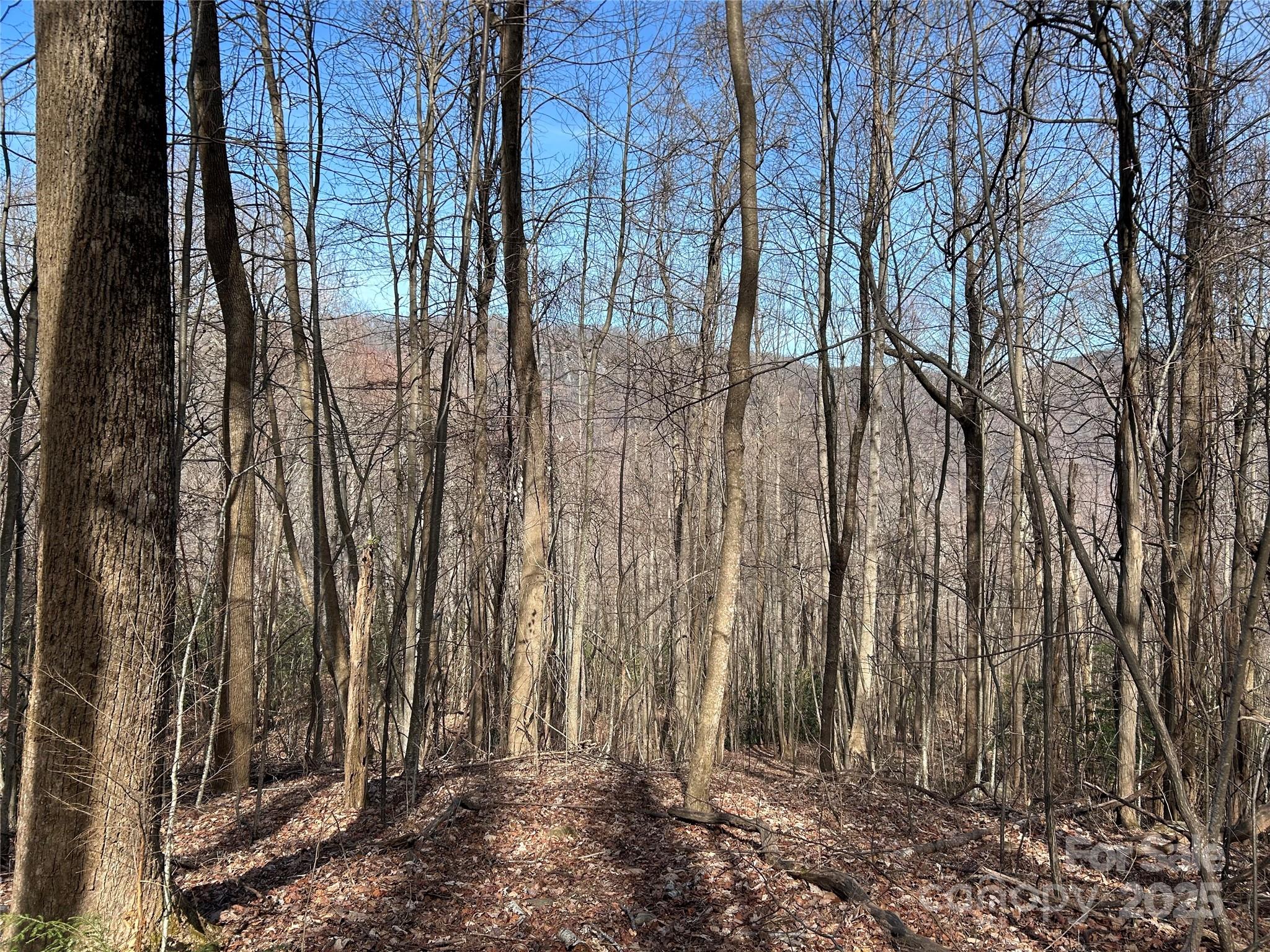 TBD Country Club Road