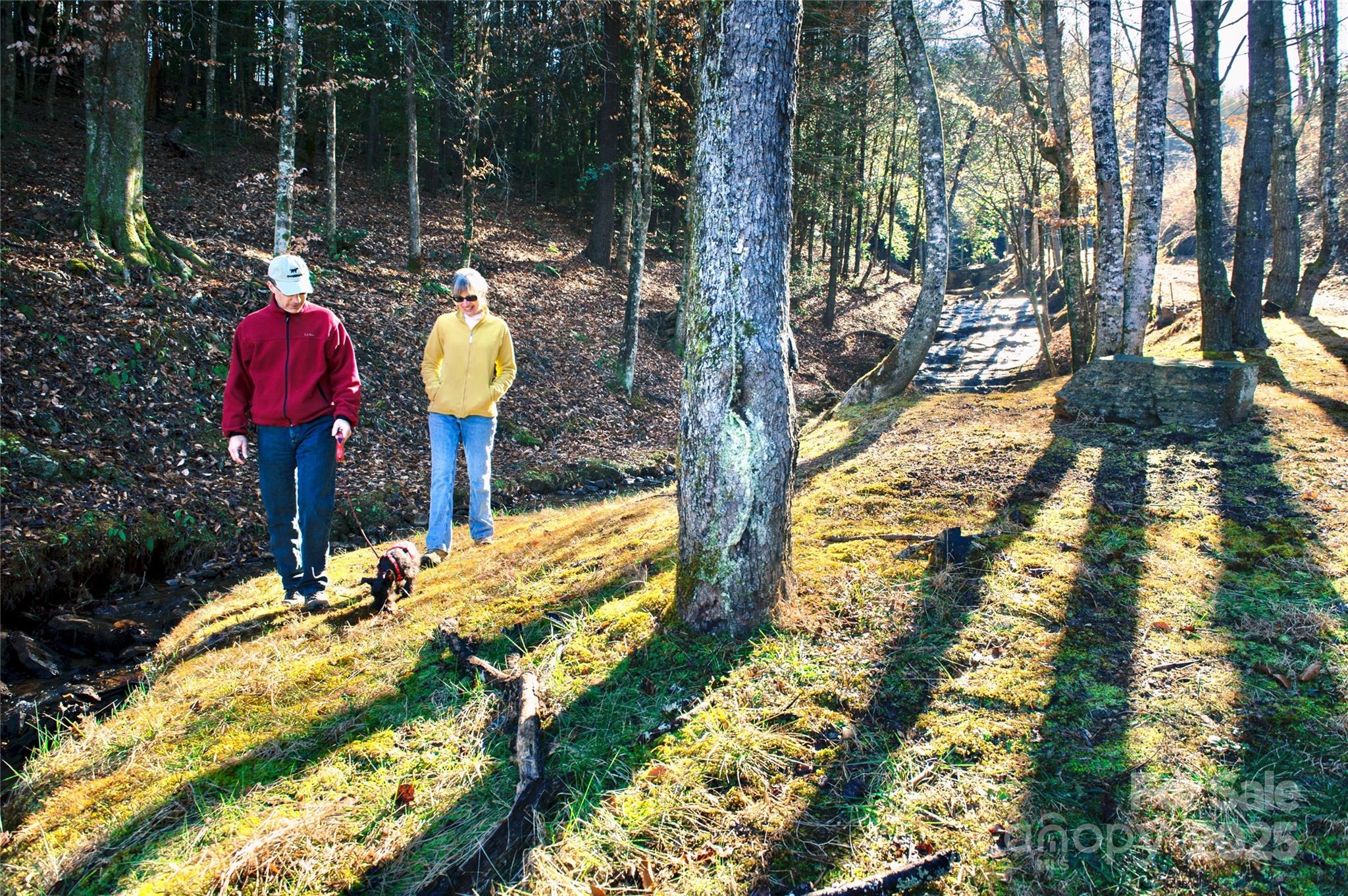 The Coves Mountain River Club - Land